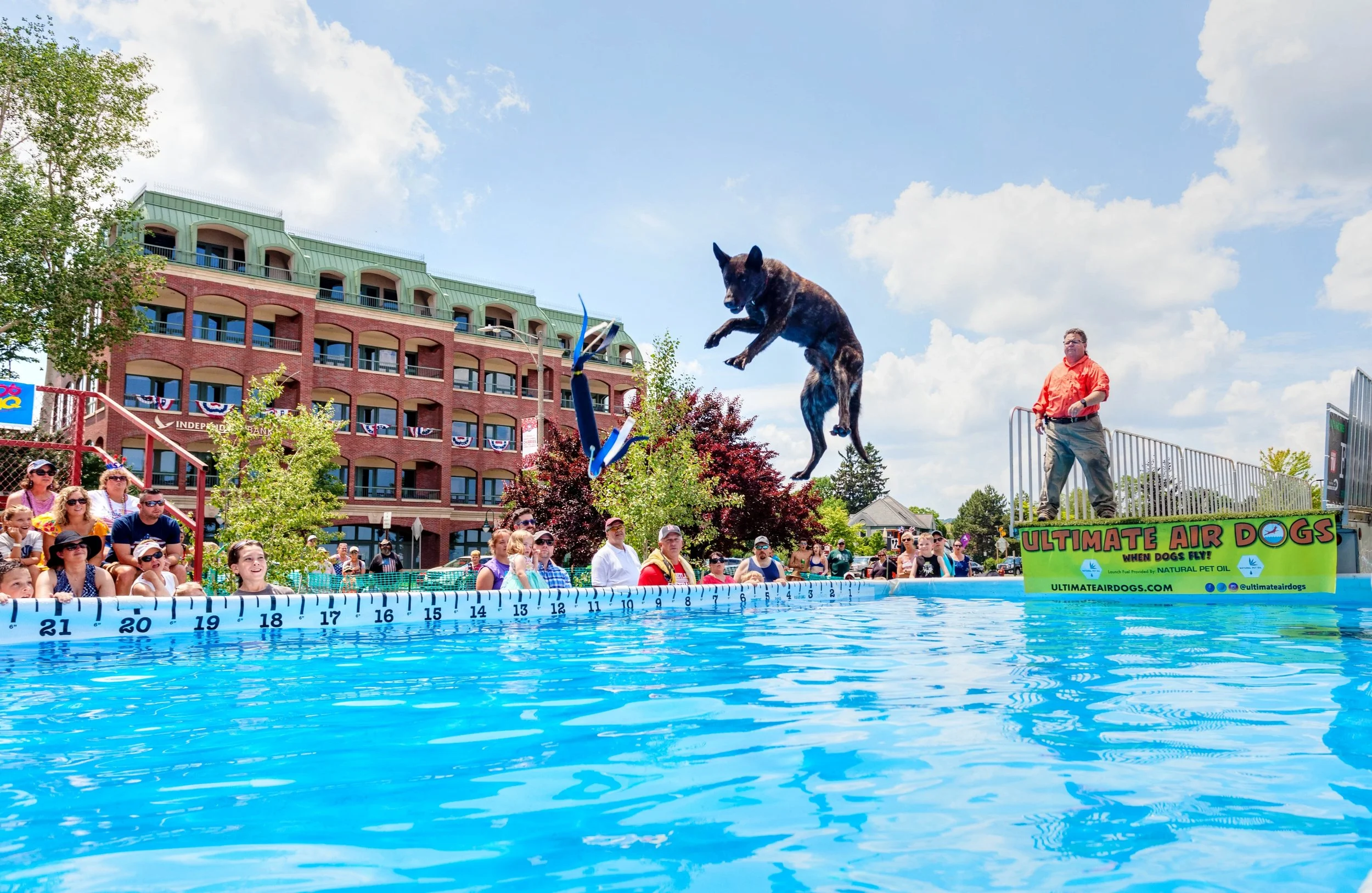 ultimate air dogs