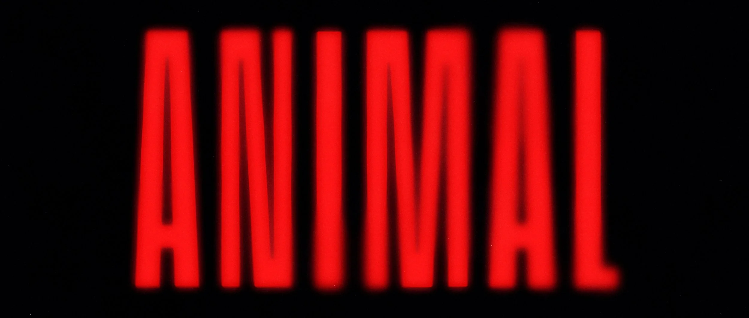 Animal by Twnty8