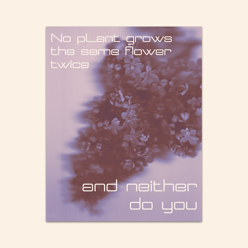 Diverging Flowers 16 x 20 mockup.png