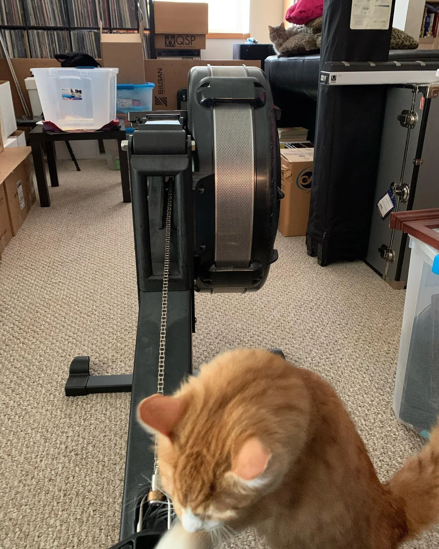 Today we are teaching @durandrea how not to rush the slide. Coach Mur is teaching her technique, while i sit in the back and judge form :)