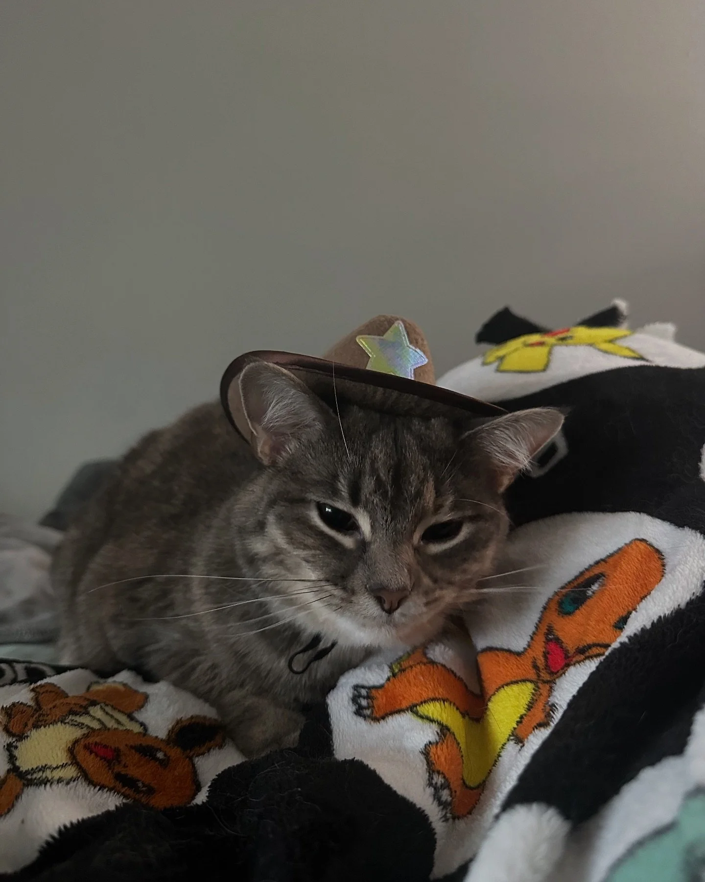 Happy Halloween from your favorite cowgirls 🐾🤠

#cats #kittens #biscuit #gravy #biscuitandgravy #mstuna #halloween