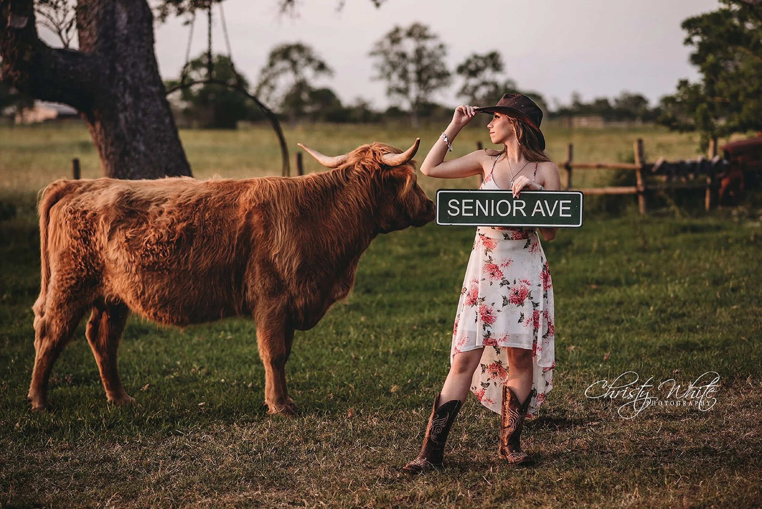 Pearland Texas senior photography session at a private ranch near Santa Fe featuring Highland cattle, open pasture, and sunset portraits