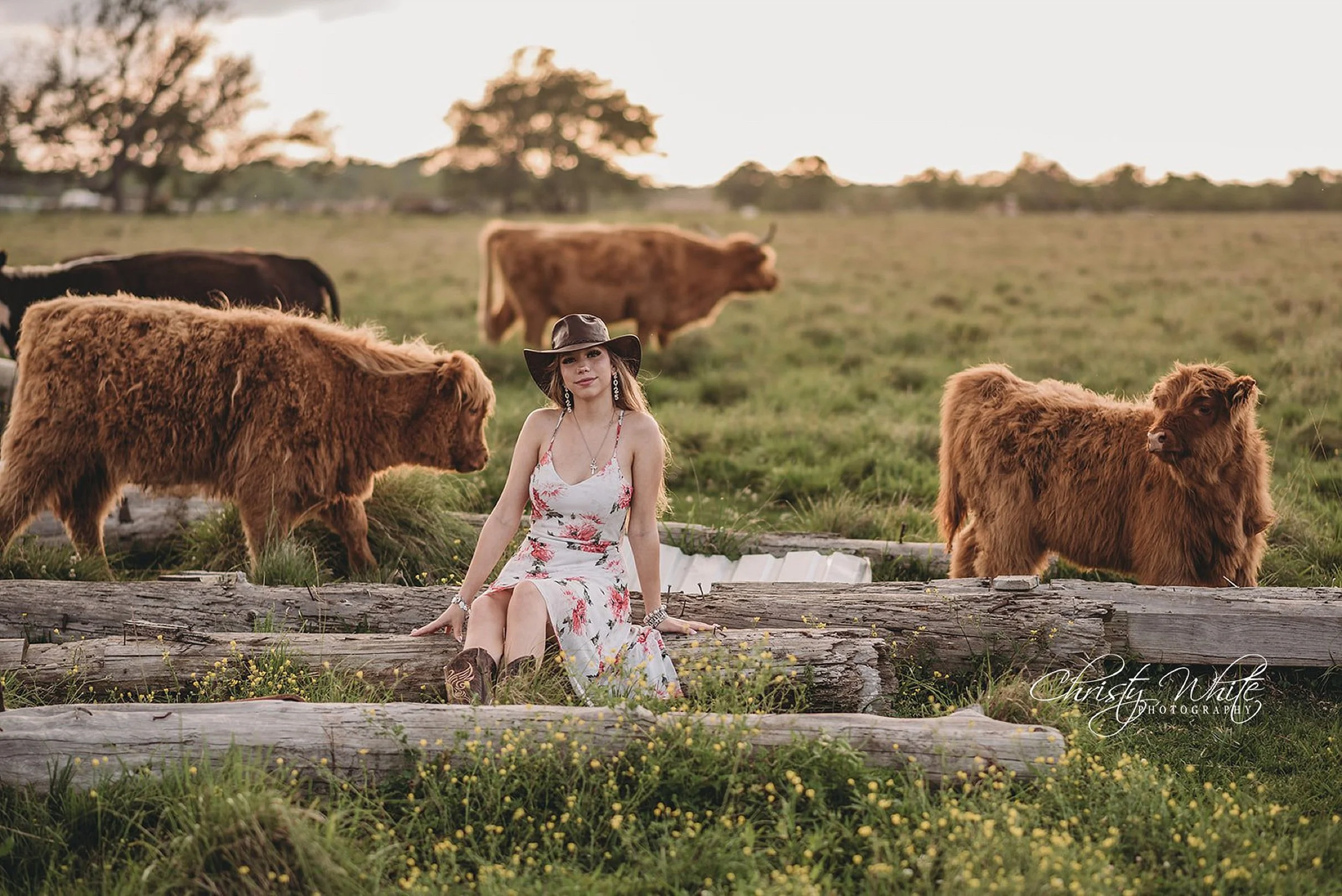 Senior portraits at a Santa Fe Texas cattle farm photographed by a Pearland Texas senior photographer