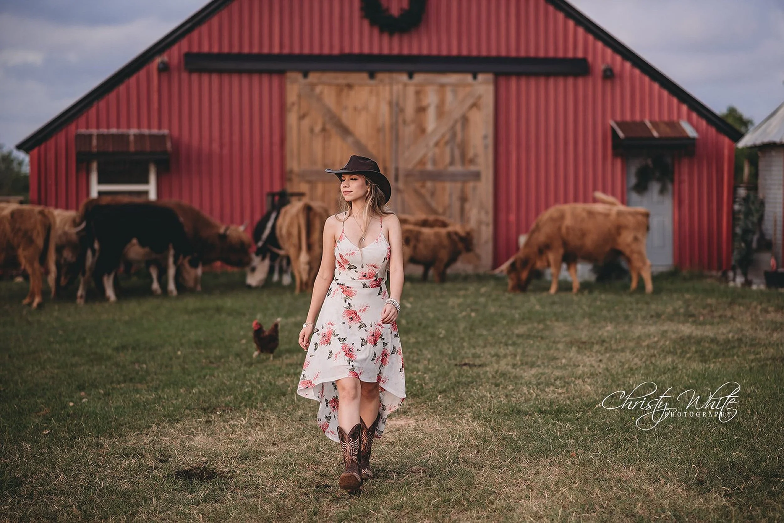 Pearland Texas senior photographer capturing high school senior portraits with Highland cattle at a rustic farm in Santa Fe, TX during golden hour