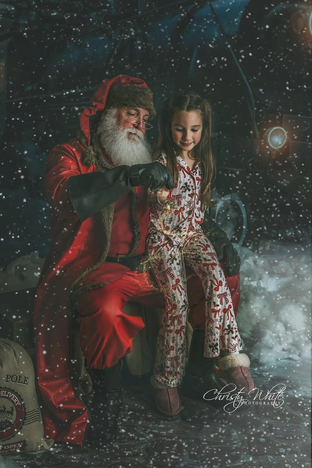 Polar Express themed Santa photography session.