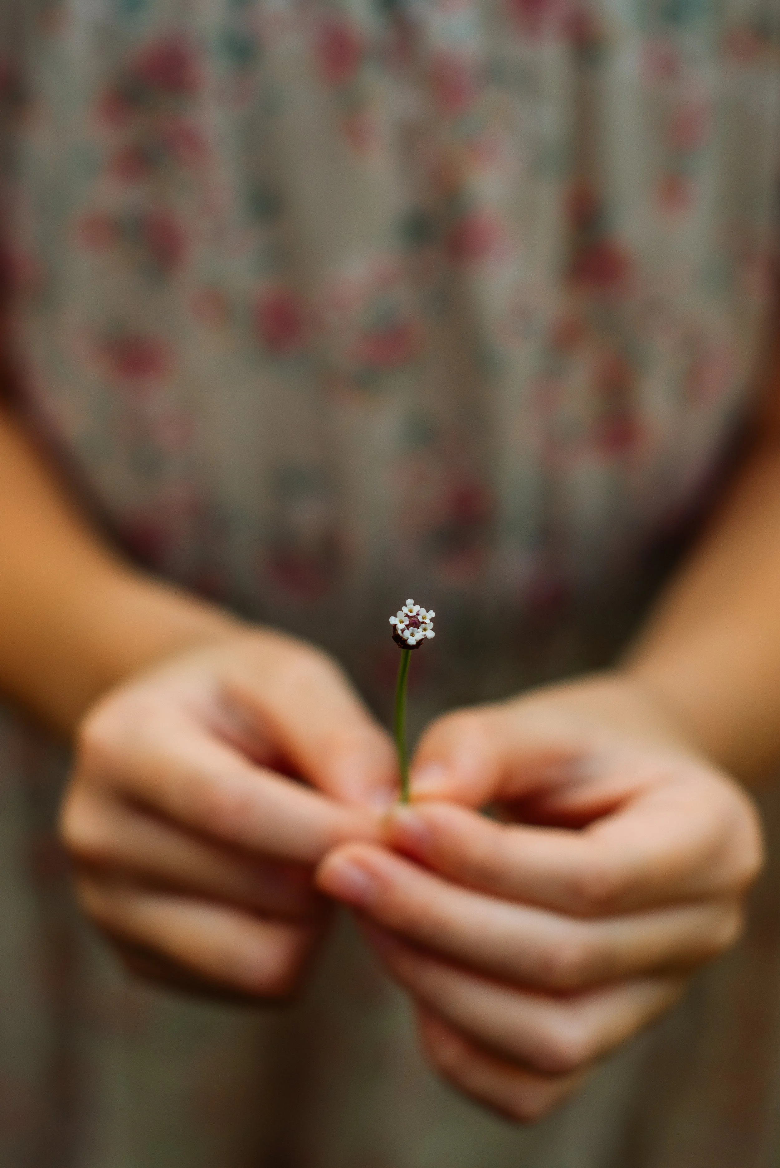 Christy White Photography-52.jpg