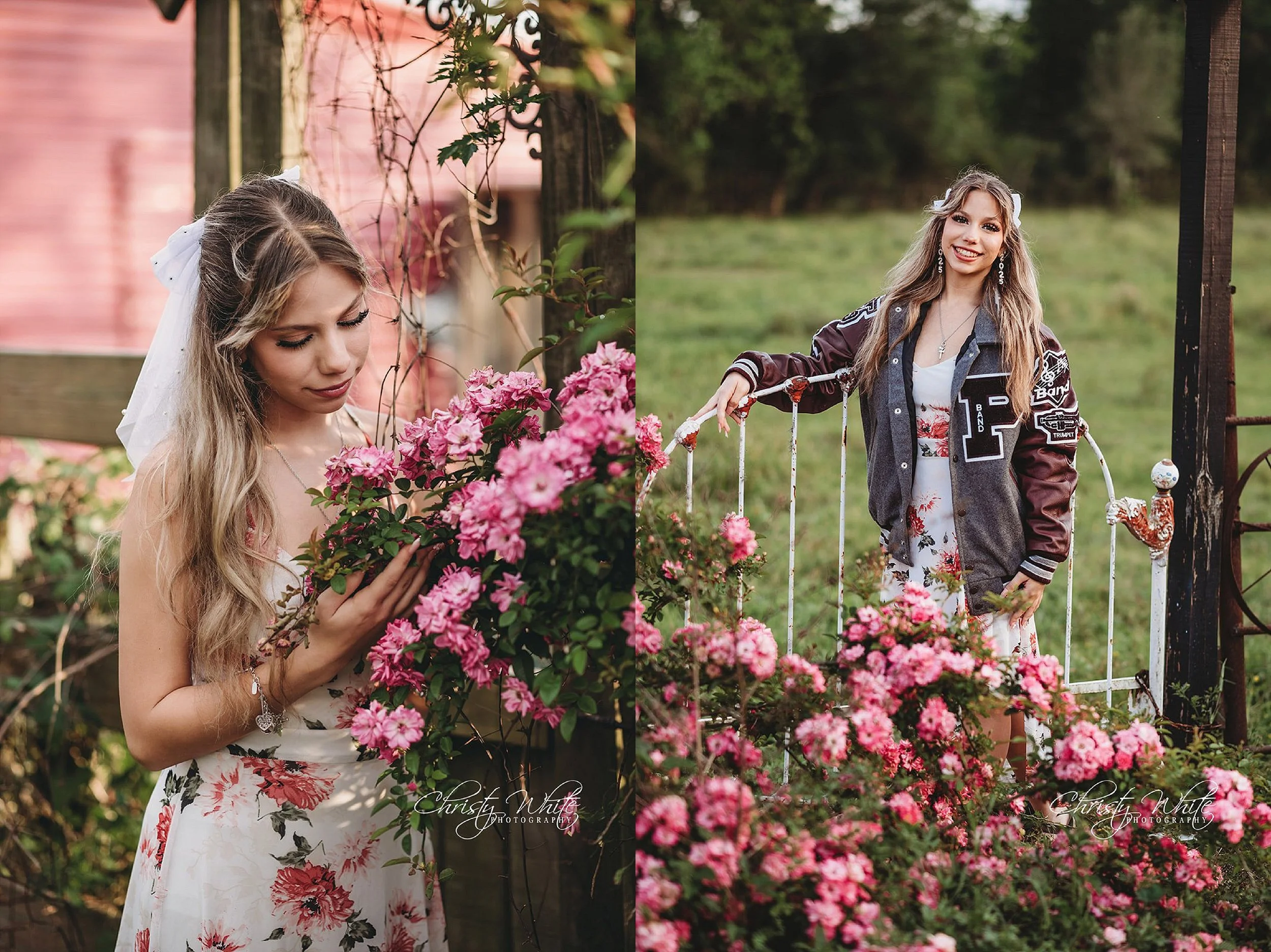 Rustic senior photography session near Pearland, Texas with wildflowers, open fields, and Highland cattle.
