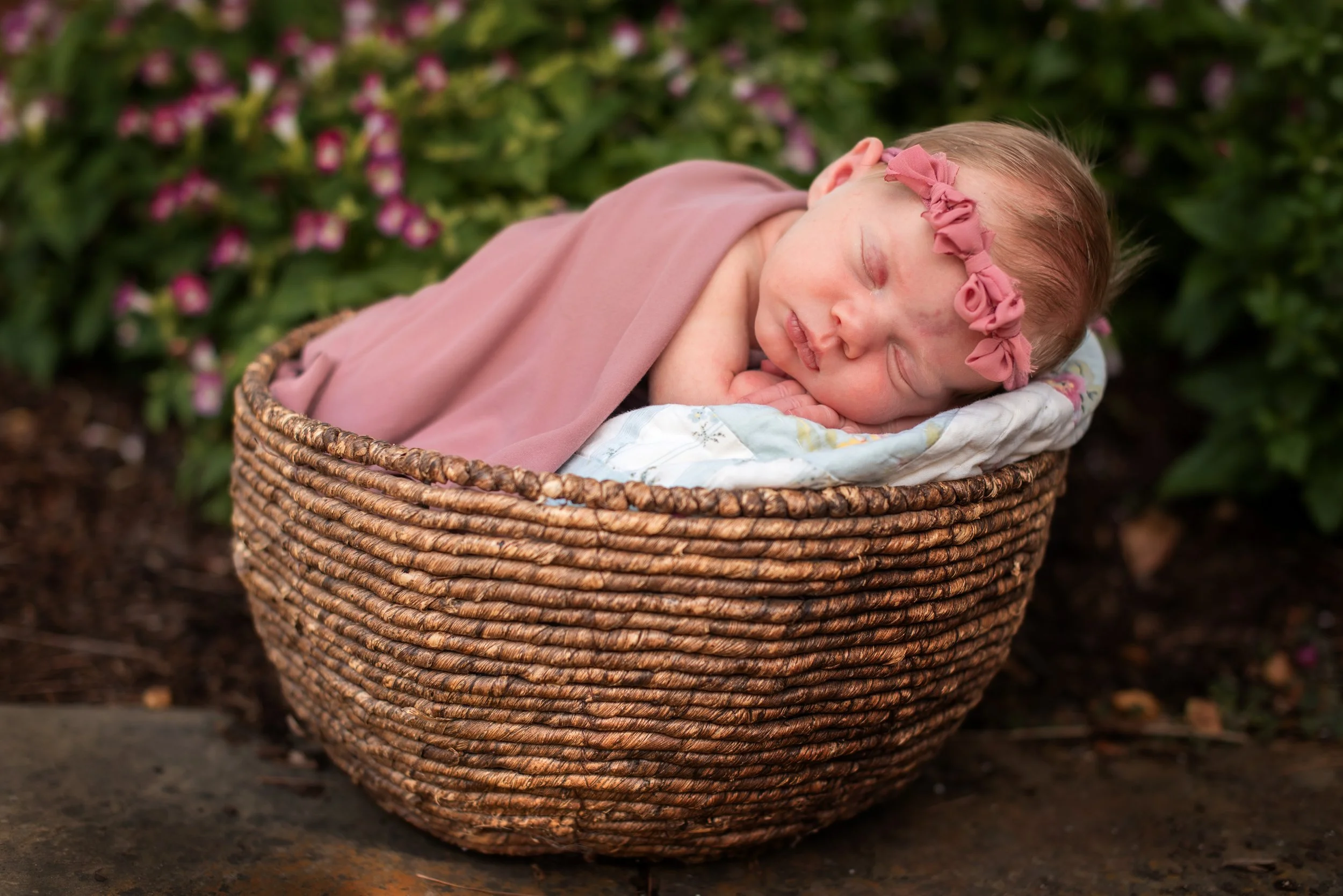 Outdoor newborn photography session at Mercer Arboretum in Spring, Texas featuring a sleeping newborn.