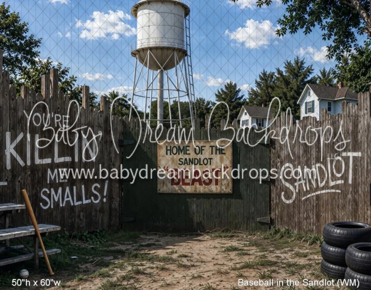 Vintage Sandlot baseball mini session at Christy White Photography in Alvin, Texas.