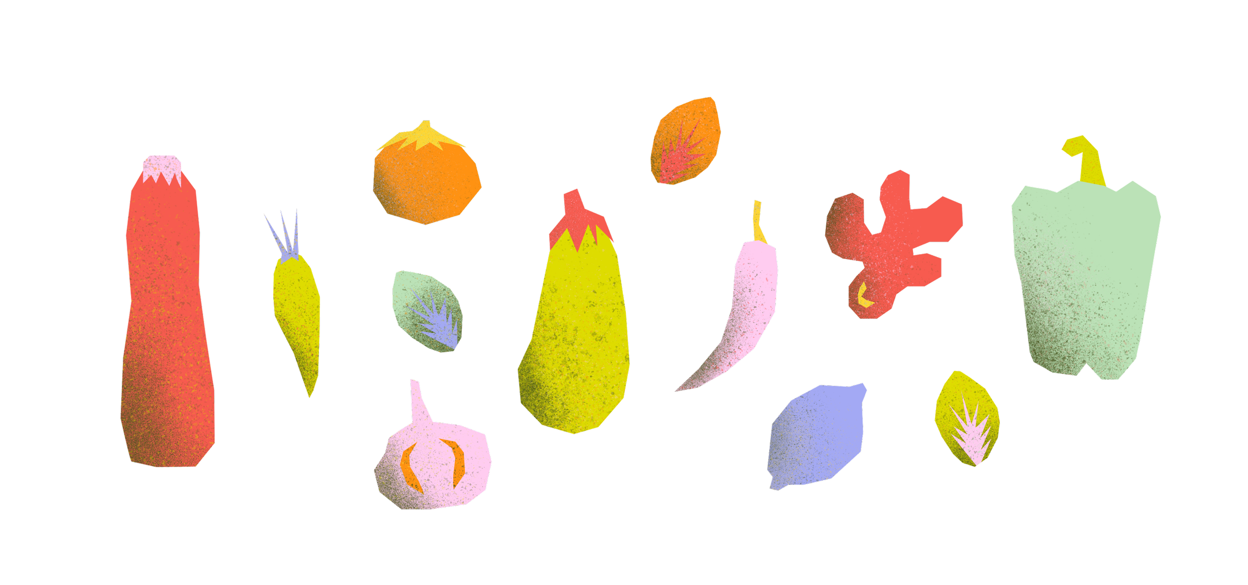 custom illustration design for premium spices brand. textured illustrations with bold colors