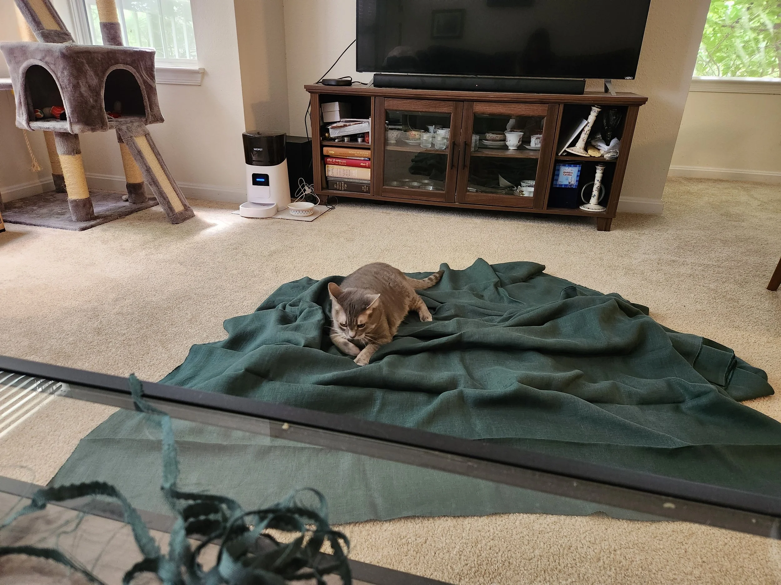 Kiki diligently inspects the fabric