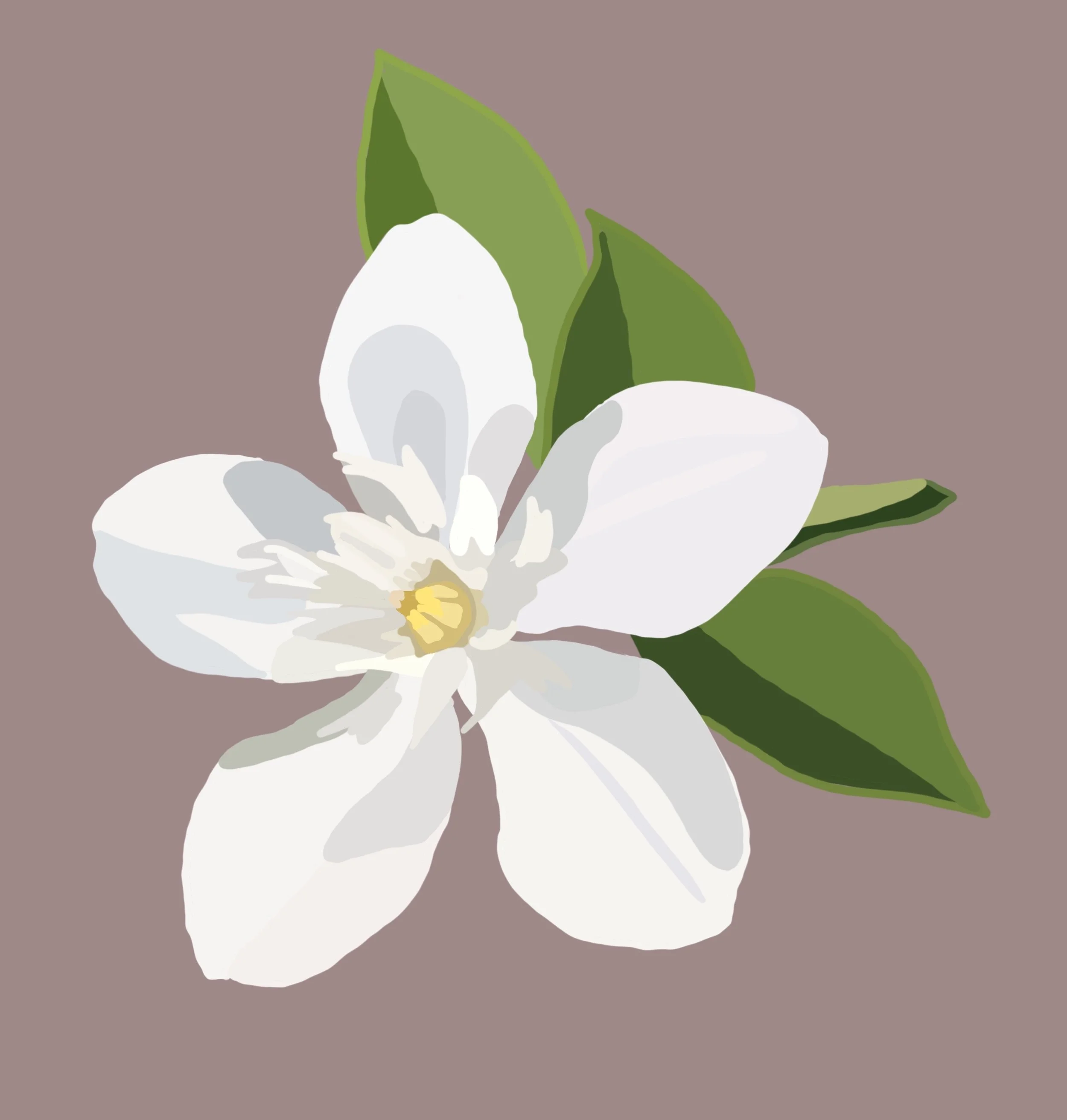 Untitled_Artwork 2.JPG