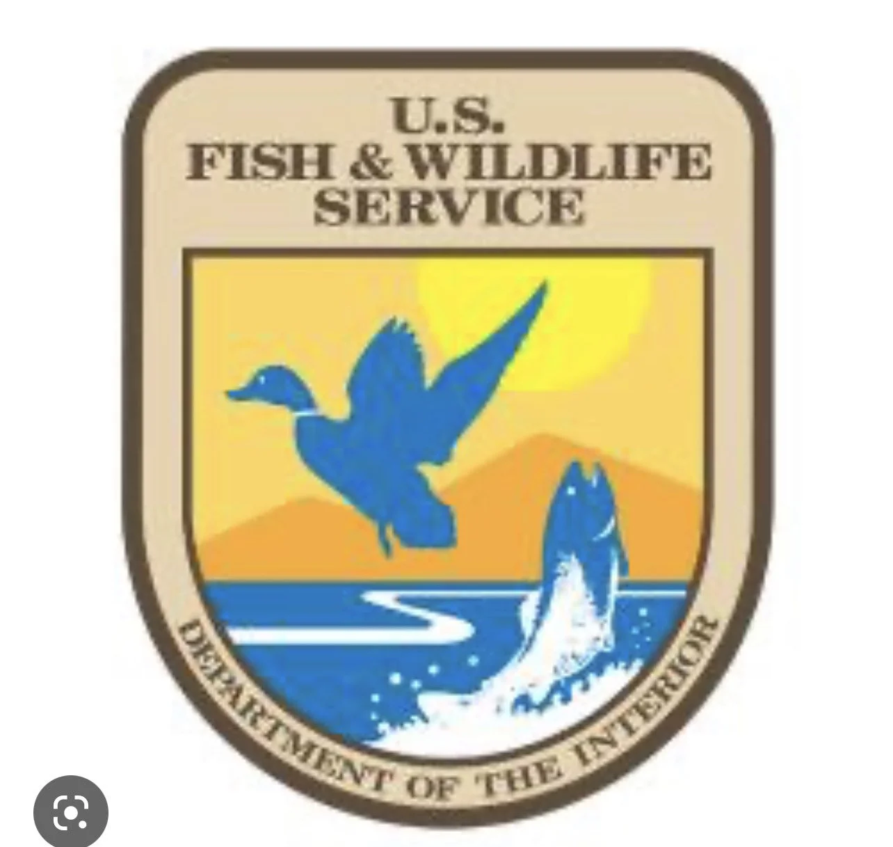 image_6487327 (2).JPG