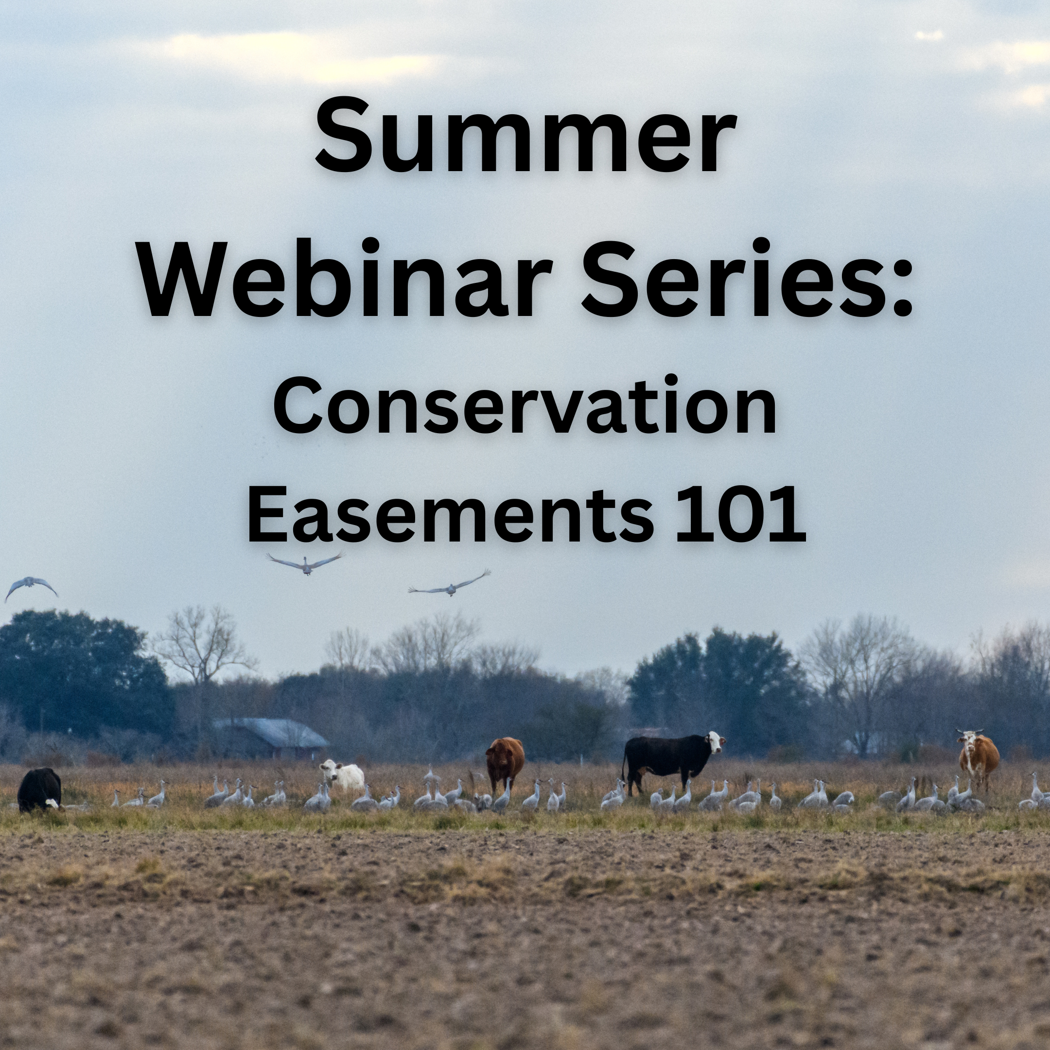Conservation Easements 101