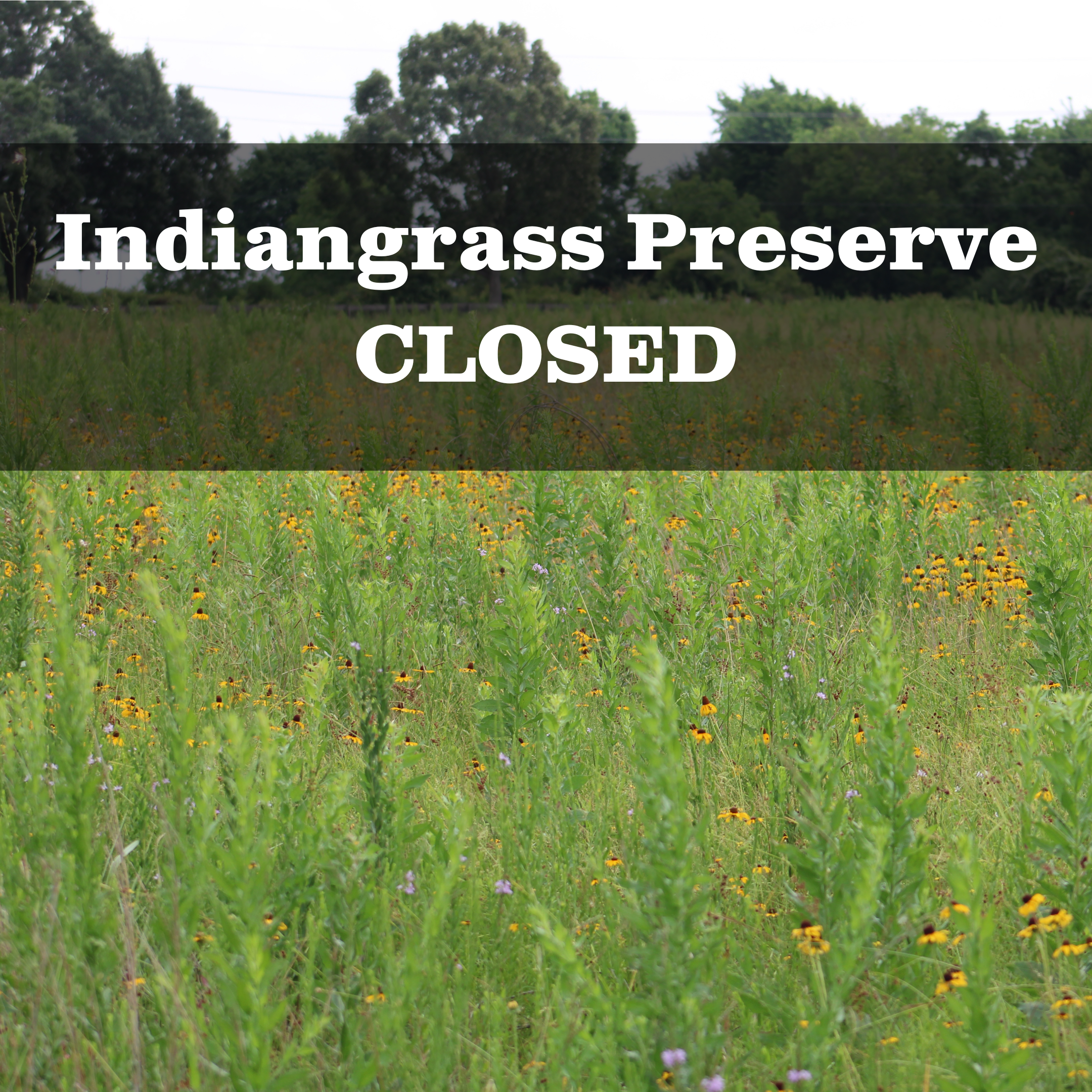 Indiangrass Preserve CLOSED