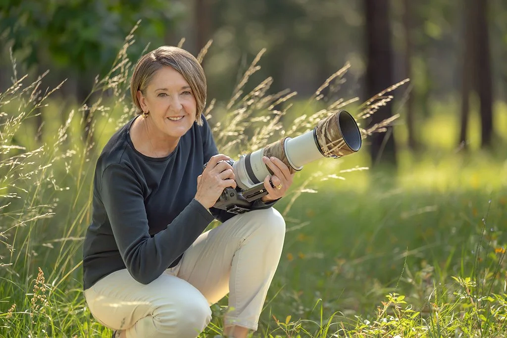 Unplugged Adventure: Butterflies and Dragonflies Photography Workshop with Kathy Adams Clark