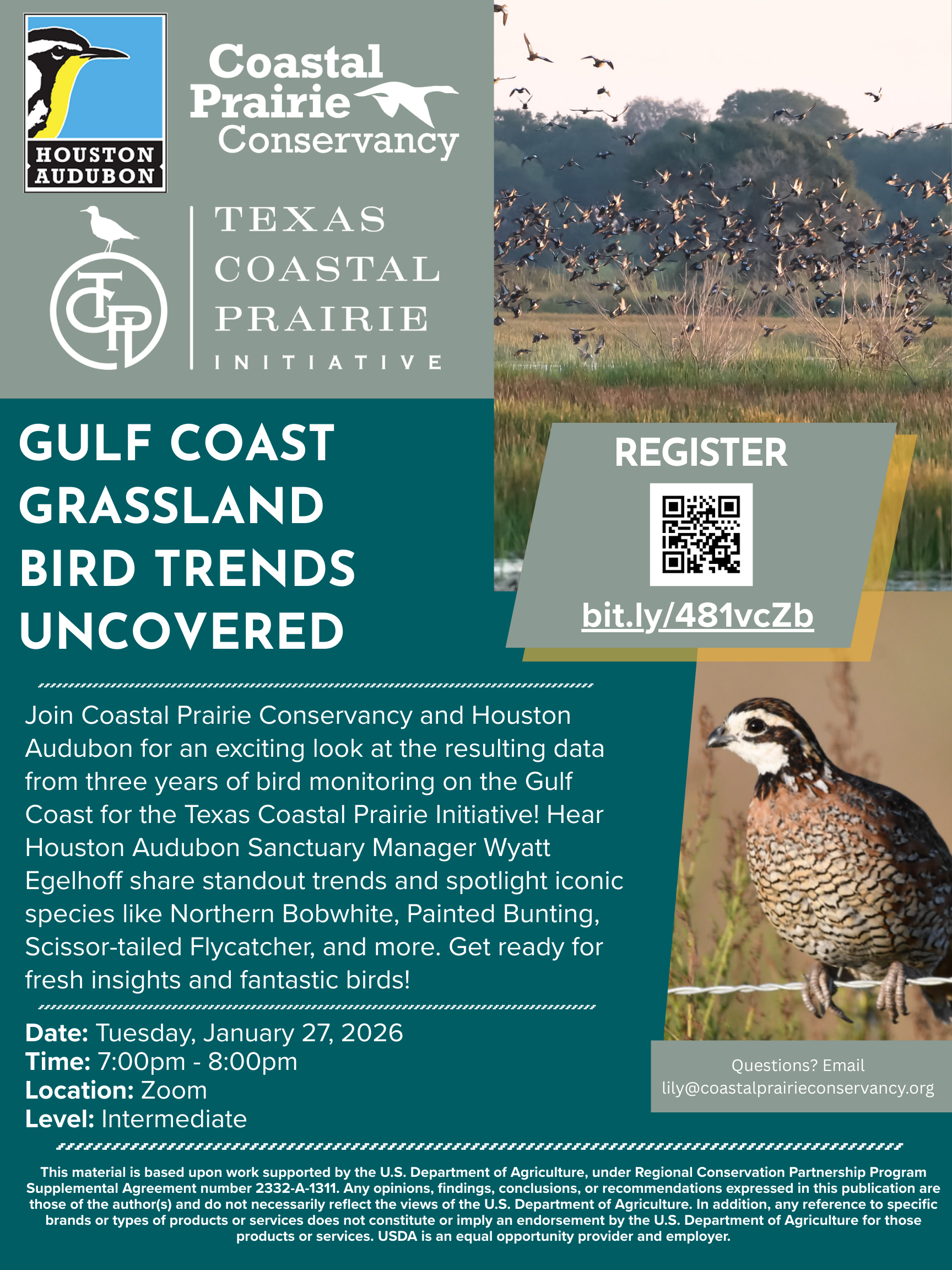 Gulf Coast Grassland Birds Trends Uncovered Webinar
