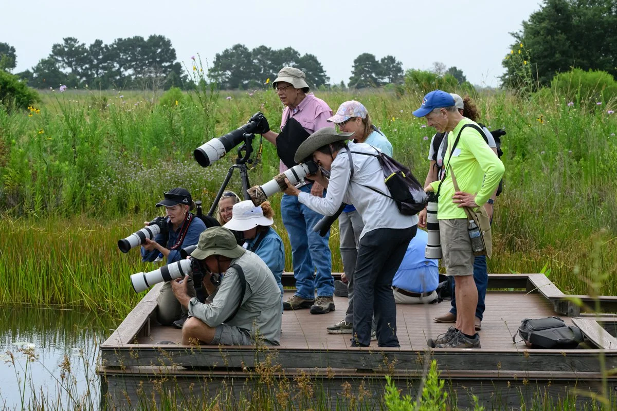 Photographers standing on a dock taking pictures of a lake.