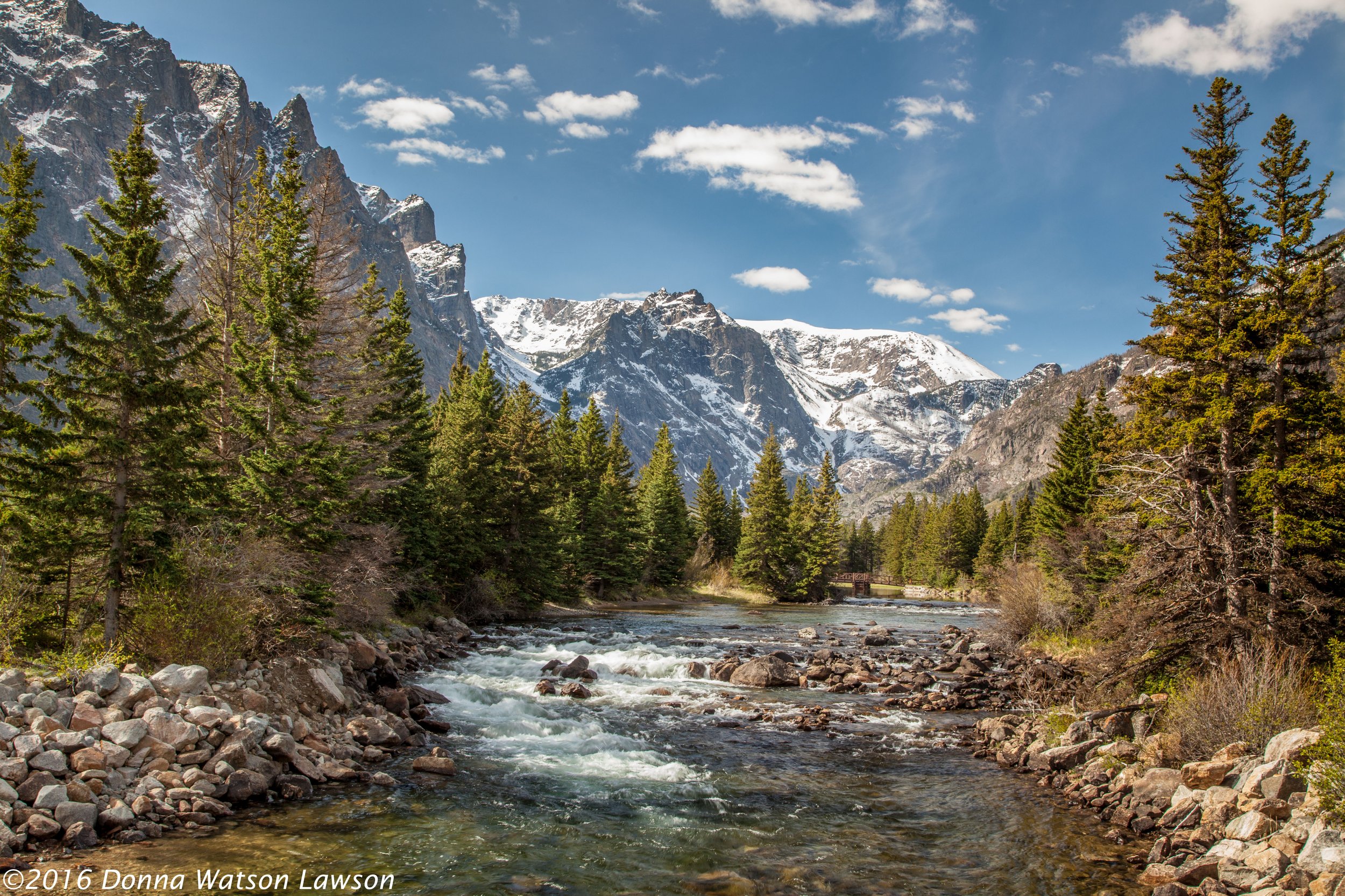 VICTORY! East Rosebud Creek protected by law — Greater Yellowstone Coalition