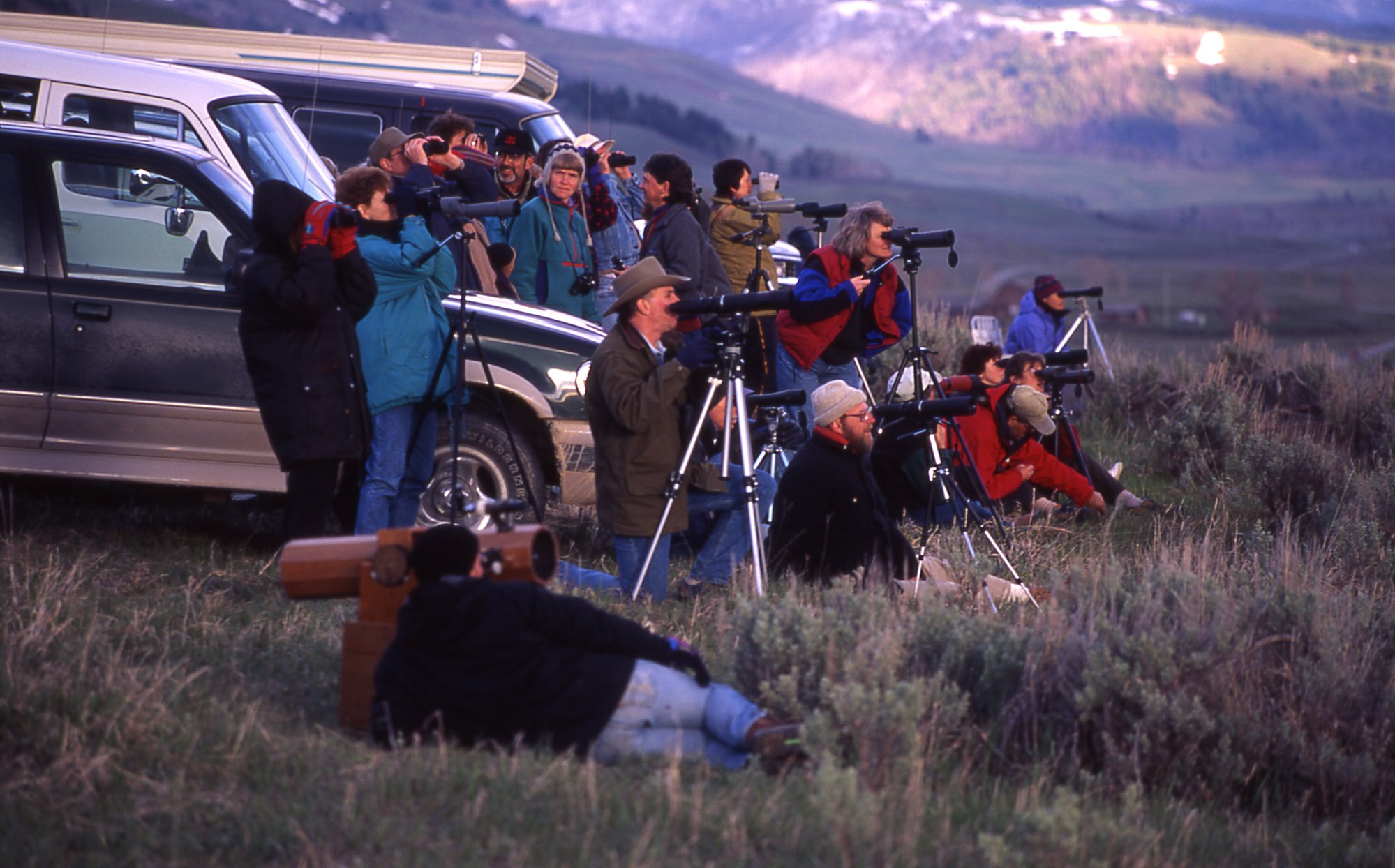 The first wolf-watching season in Lamar Valley, 1995. (Photo Jim Peaco/NPS.)