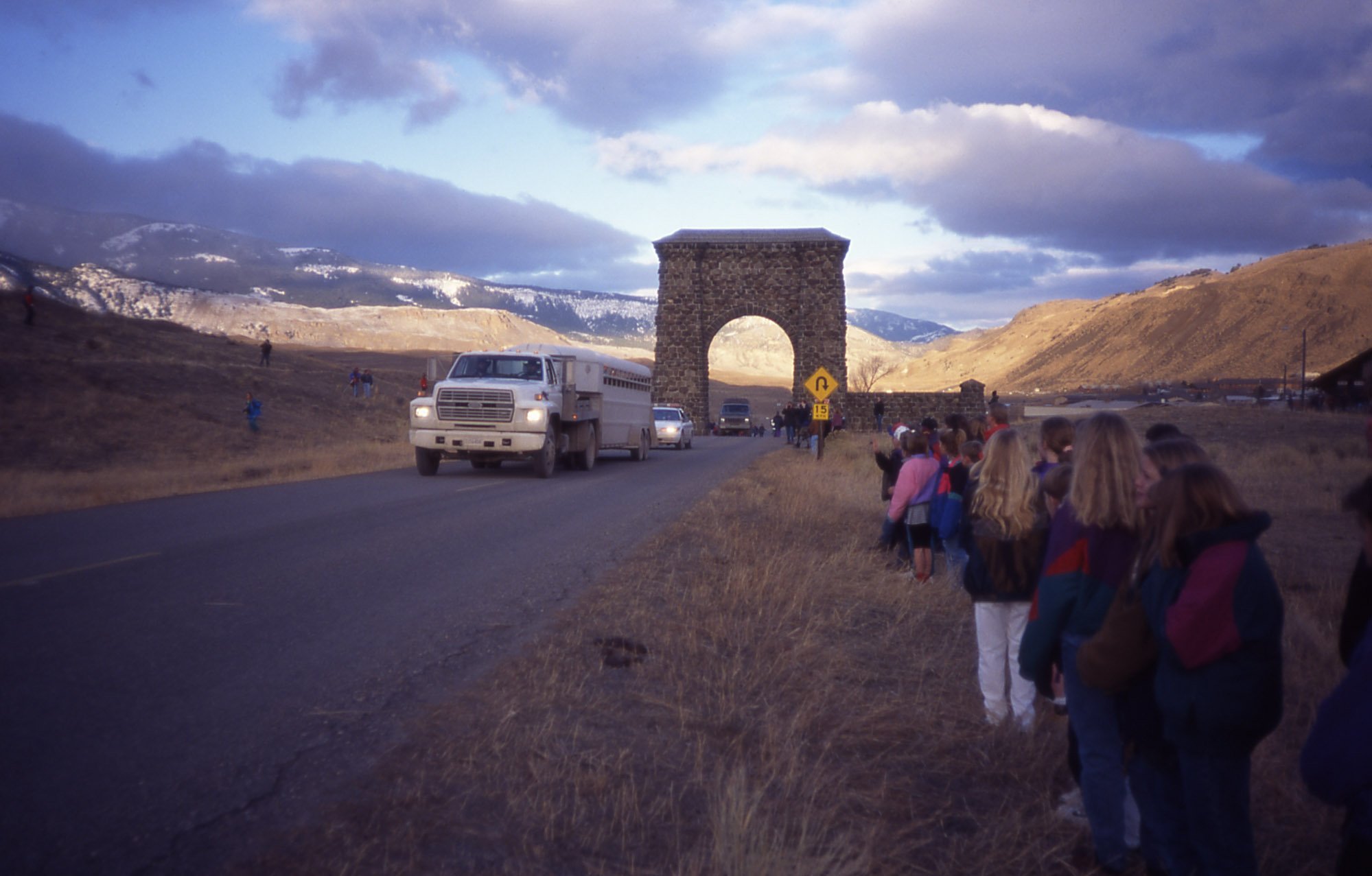 Truck carrying wolves driving through the Roosevelt Arch with school children watching in January 1995. (Photo Diane Papineau)