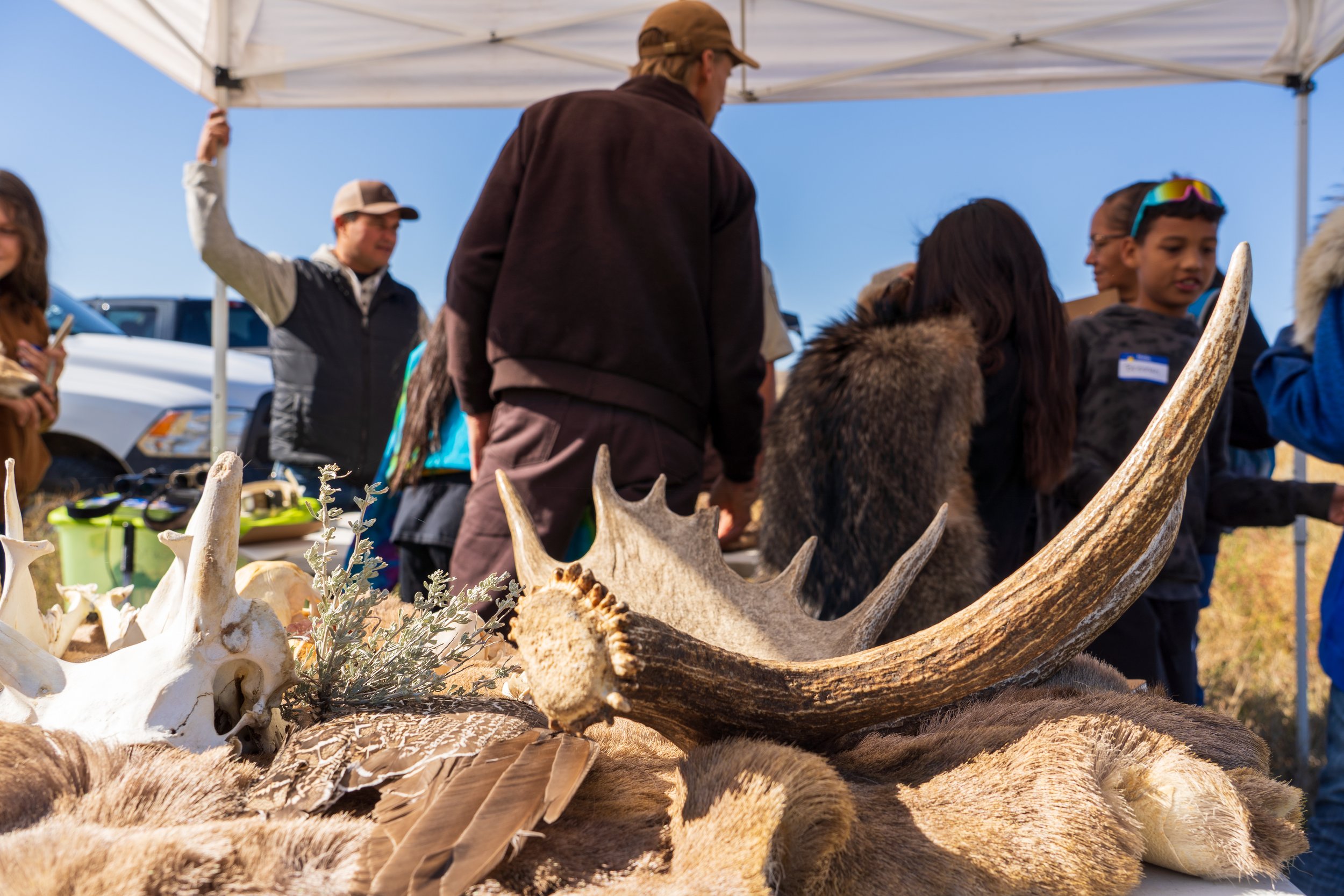  Shoshone and Arapaho Fish and Game and the U.S. Fish and Wildlife Service station hosted students to talk about wildlife on the Wind River Indian Reservation. (Photo GYC/London Bernier) 