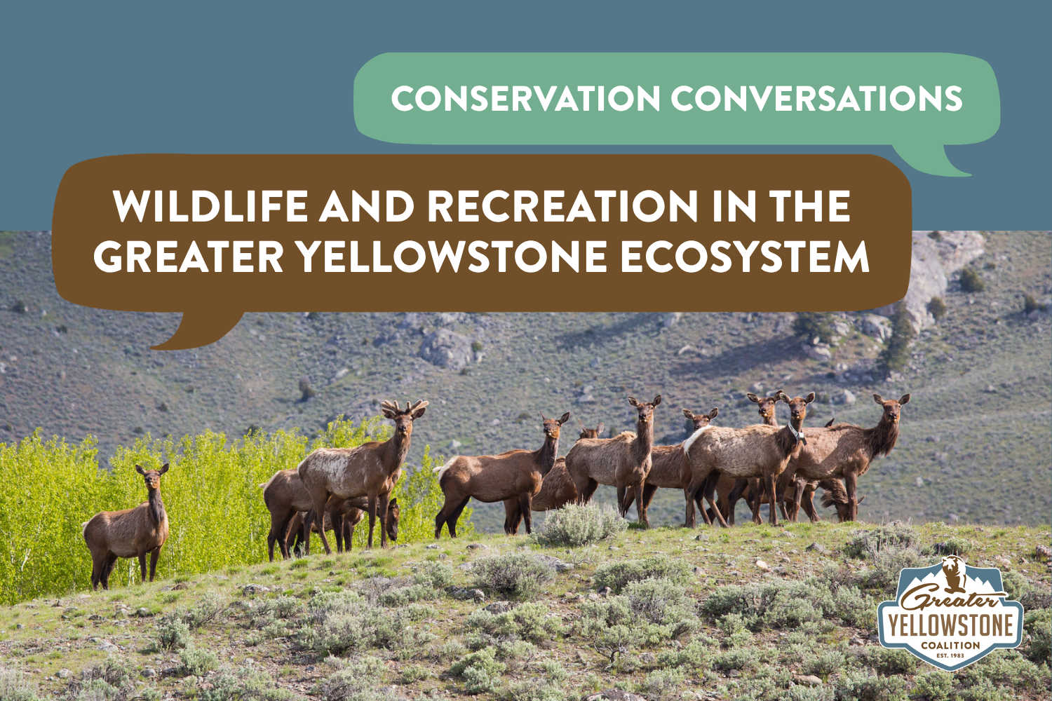 Conservation Conversations—Wildlife and Recreation in the Greater Yellowstone Ecosystem