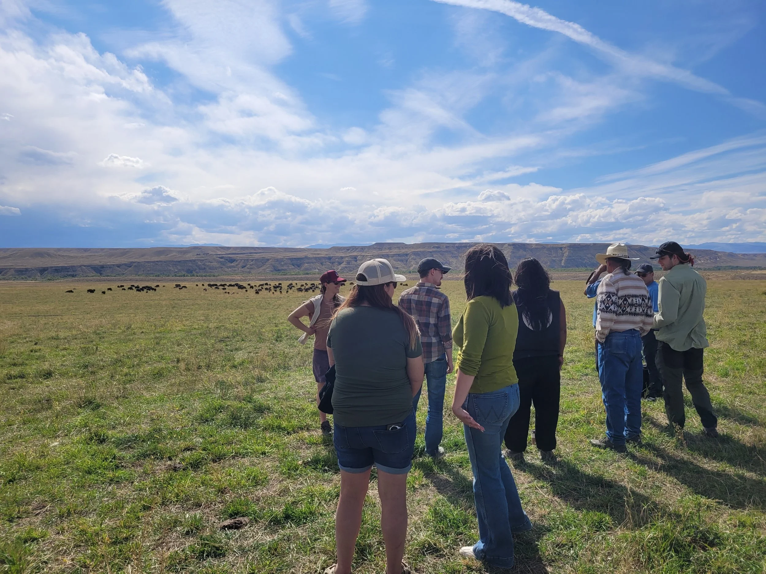 The tour stopped at the Wind River Tribal Buffalo Initiative to see the Tribal buffalo. Photo Emma Carlson