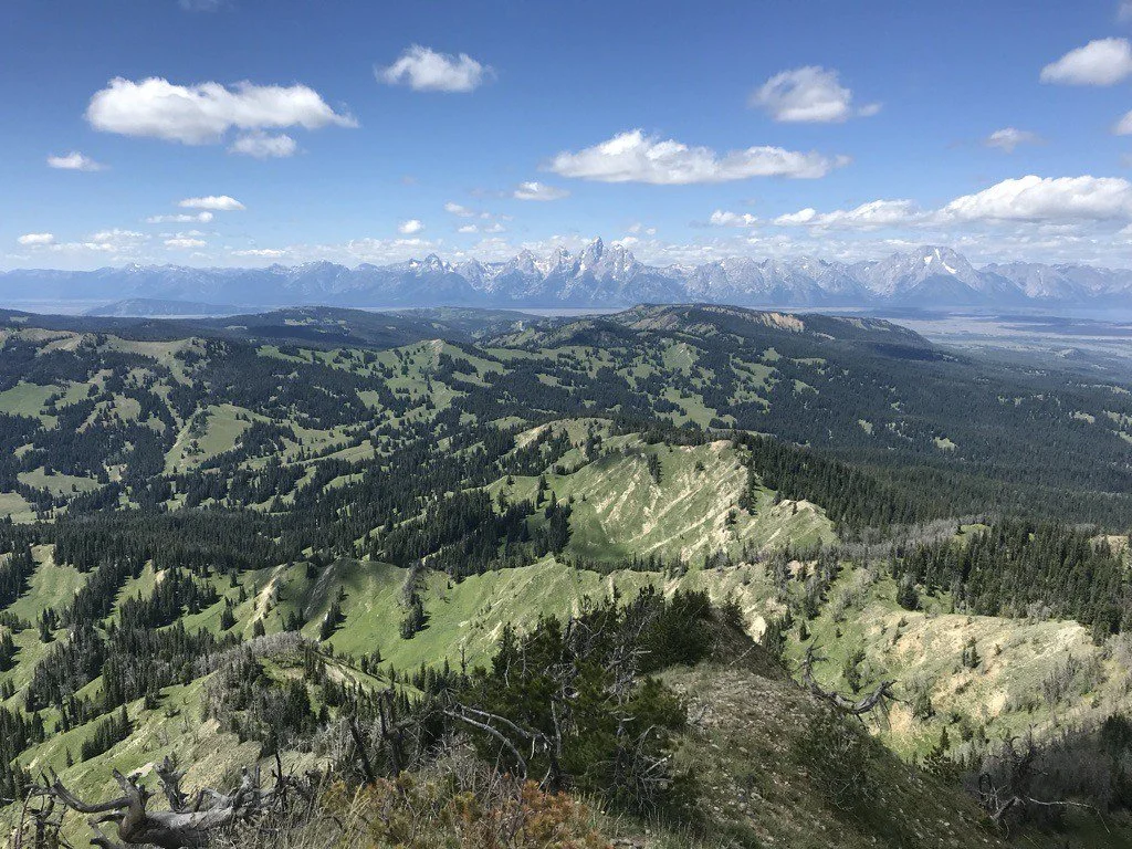 The Roadless Rule: From Record Public Support to Rapid Repeal