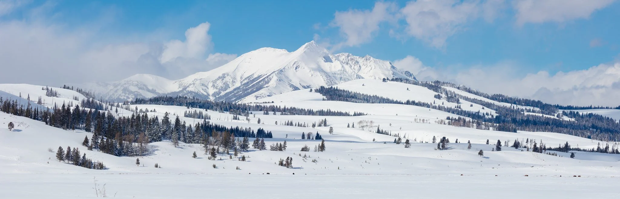 Why Snow is Our Most Valuable Water Resource