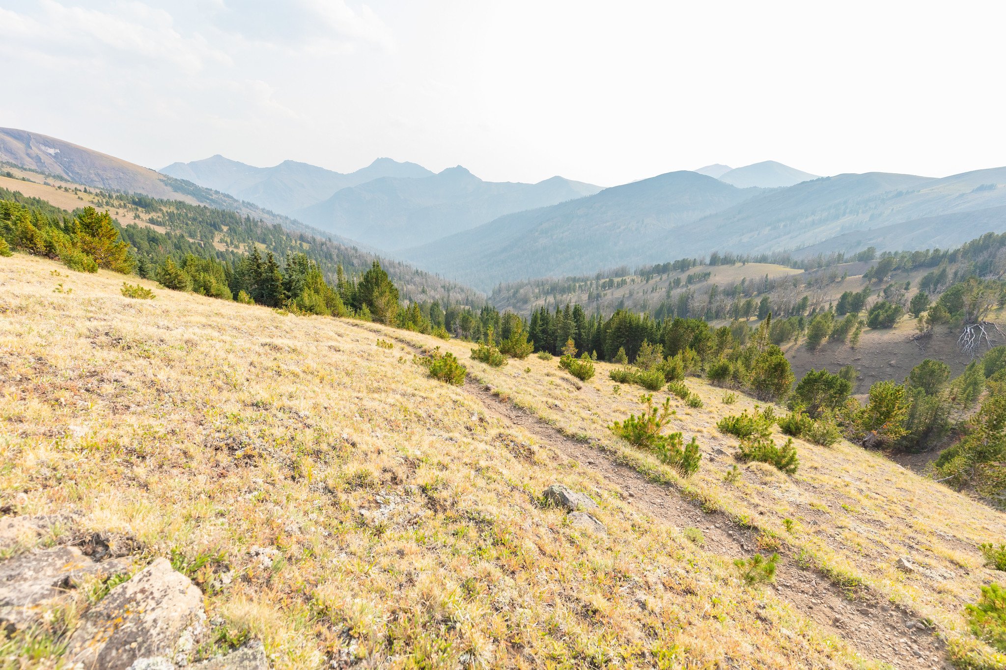 VICTORY! East Rosebud Creek protected by law — Greater Yellowstone Coalition