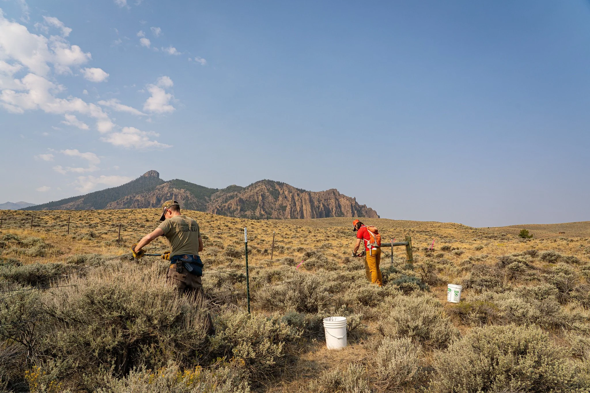 A Day in the Wyoming Field: Preserving Habitat Connectivity and Migration Routes by Removing Fences