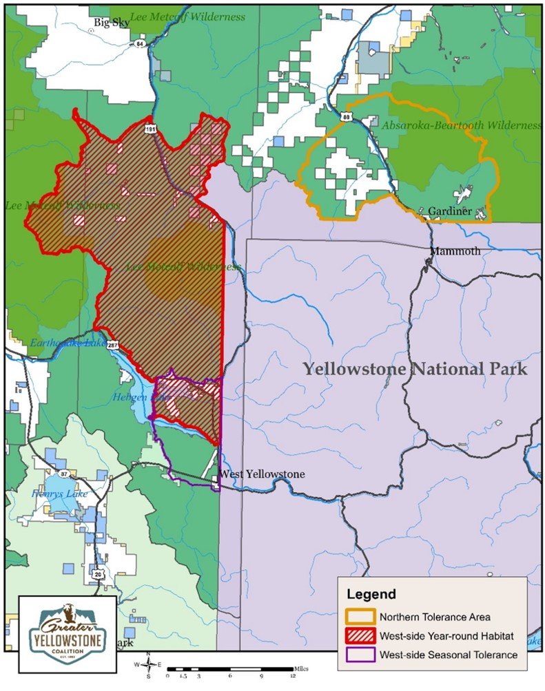 Promoting Yellowstone Bison Coexistence — Greater Yellowstone Coalition
