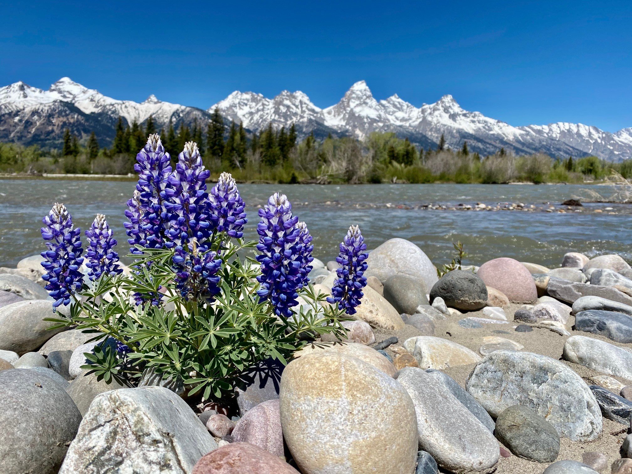 Headwaters (U.S. National Park Service)