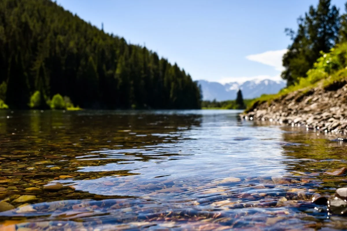 Supporting climate resiliency in greater yellowstone greater