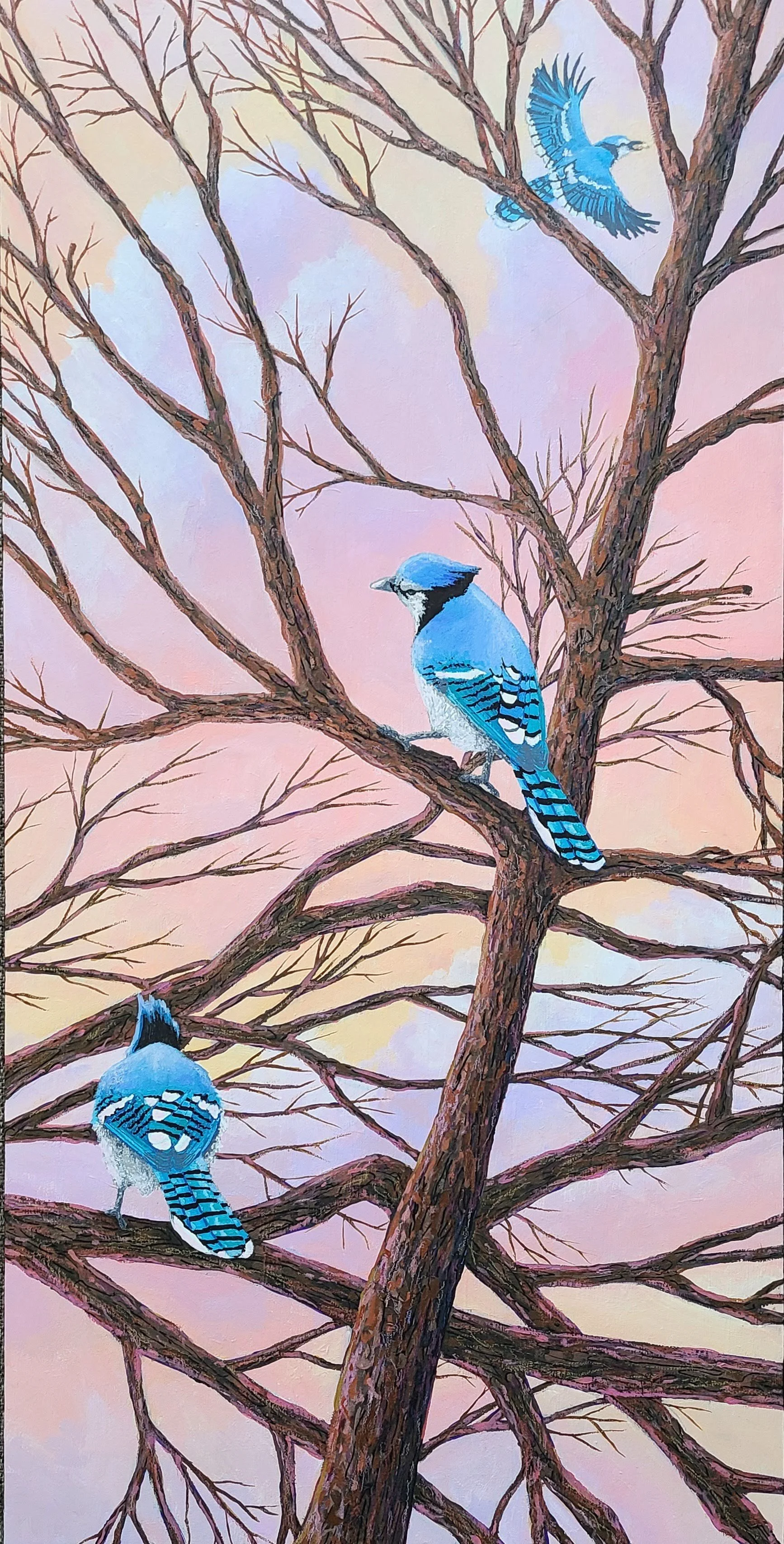 Blue Jays - acrylic on wooden panel - 12x36 in. 2024