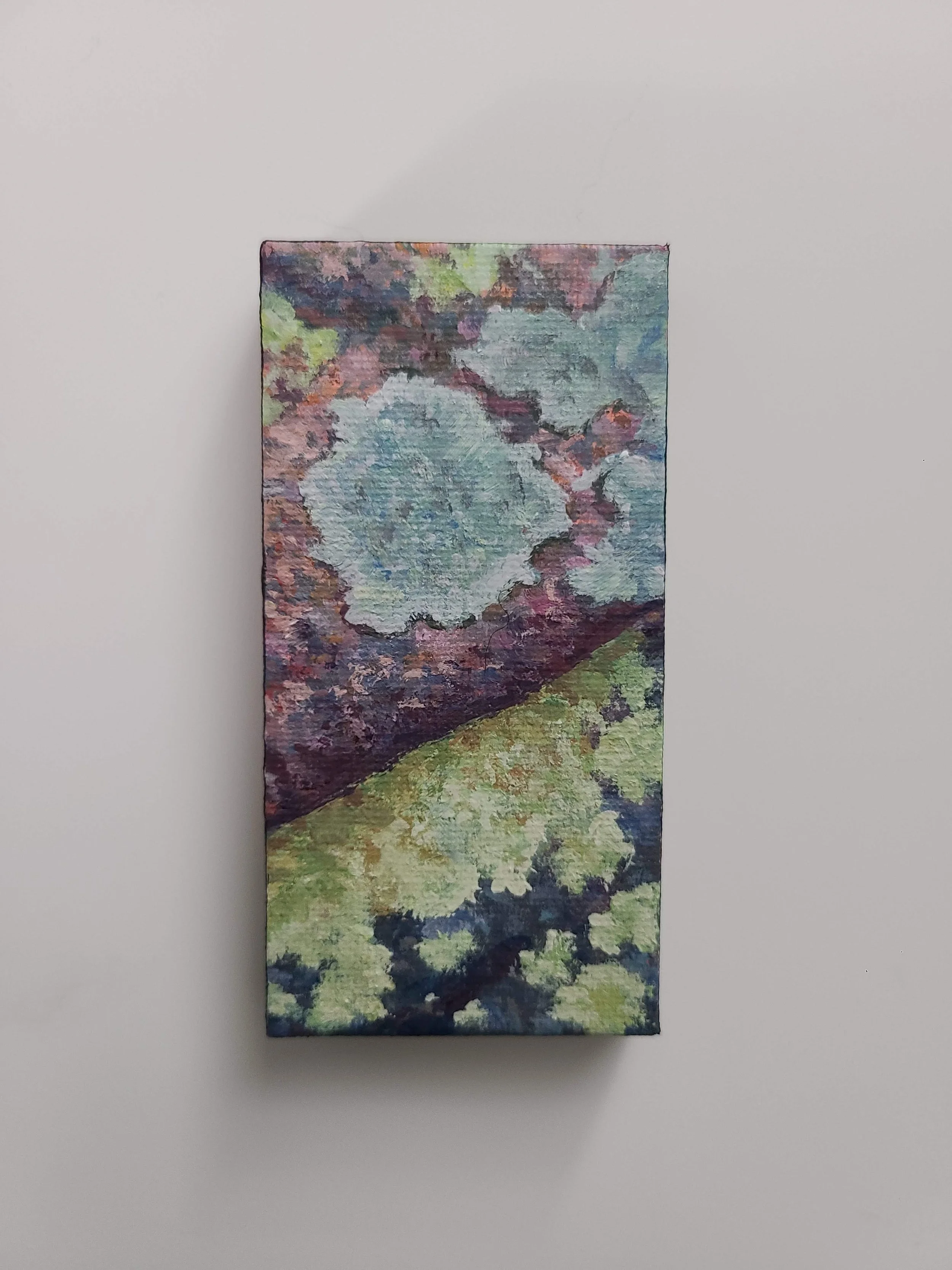 Lichen - acrylic on canvas - 2x4 in. 2024