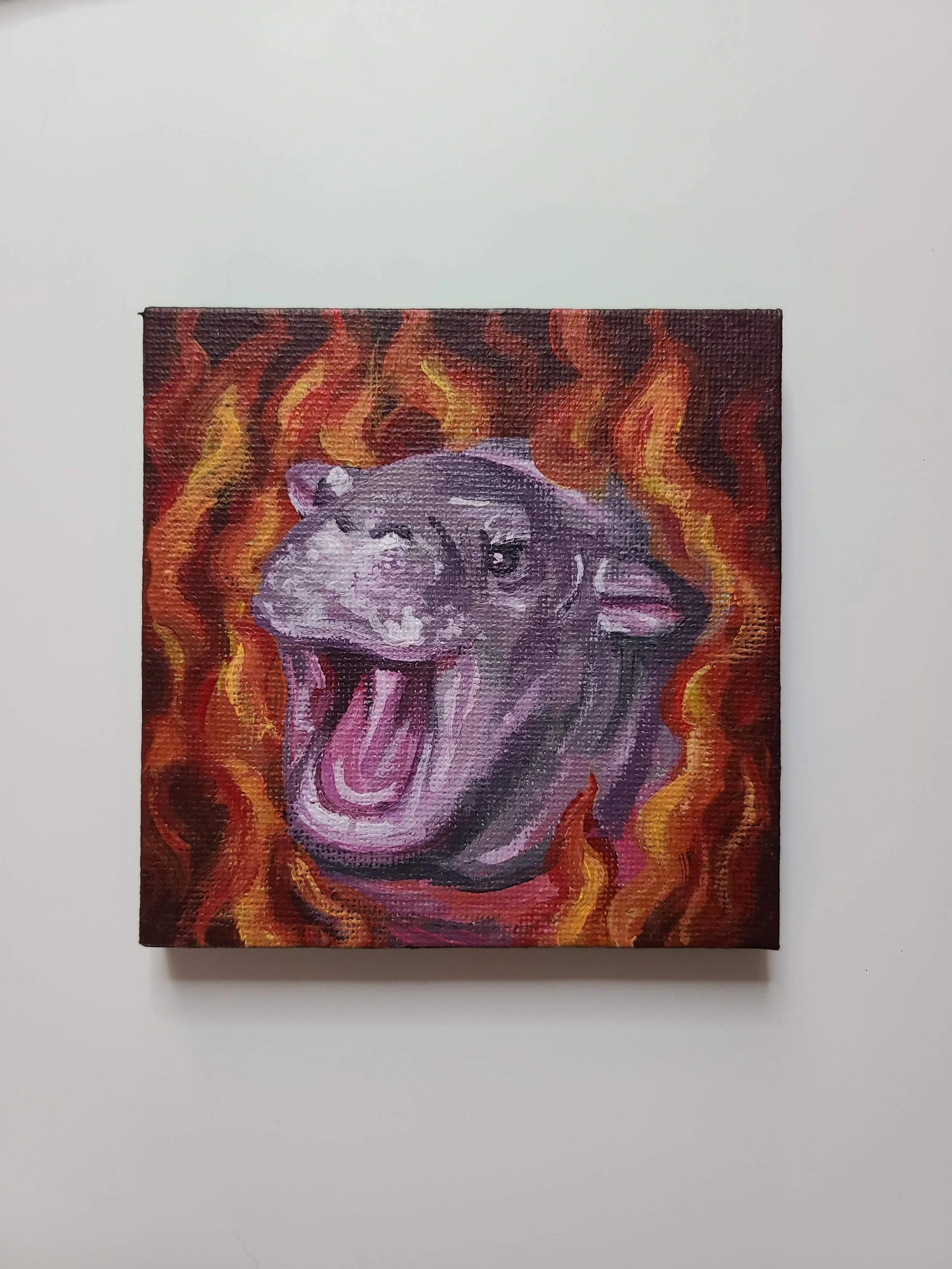 Moo Deng - acrylic on canvas - 4x4 in. 2024