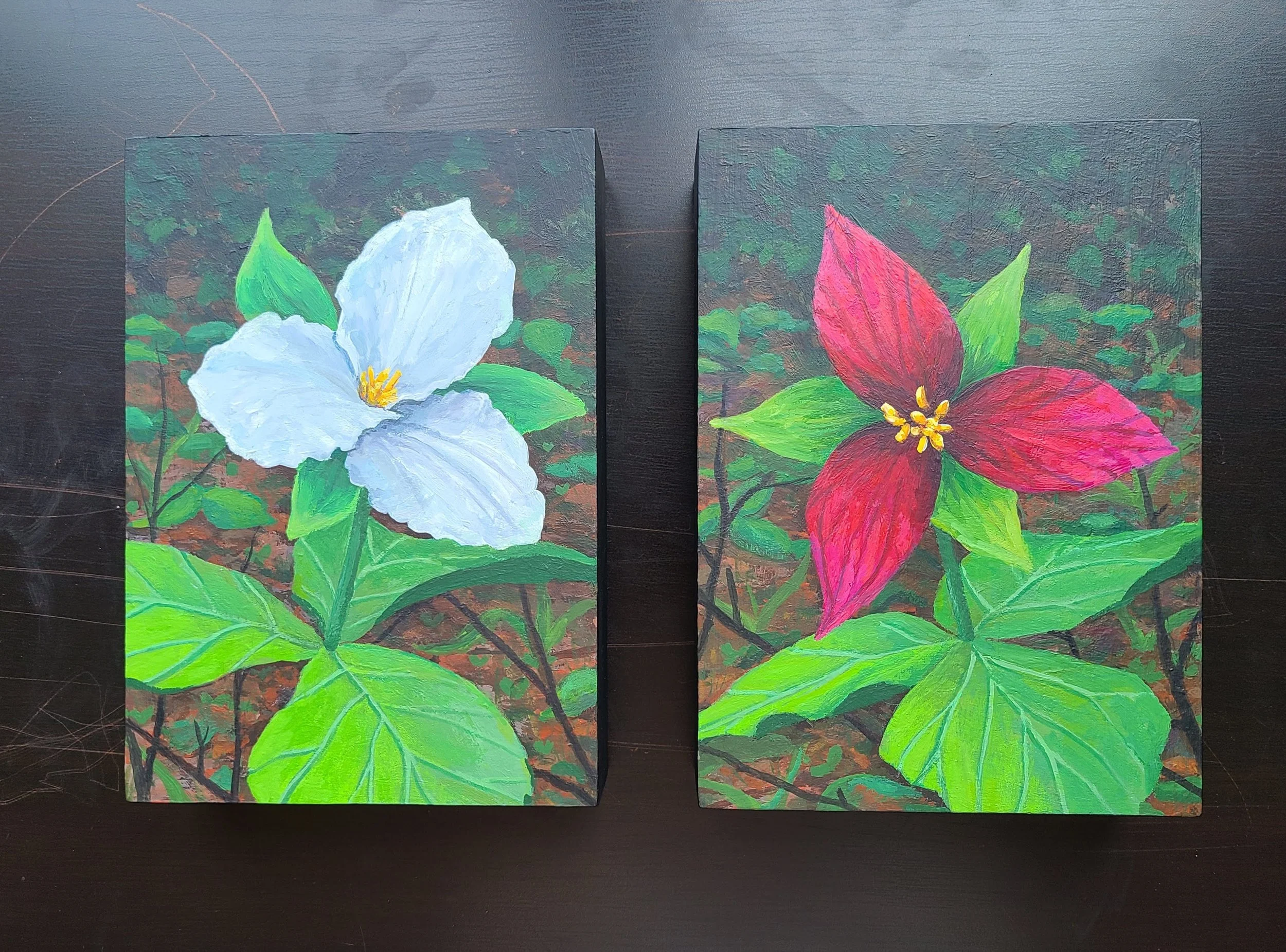 White and Red Trillium - acrylic on wooden panel - 5x7 in. 2025