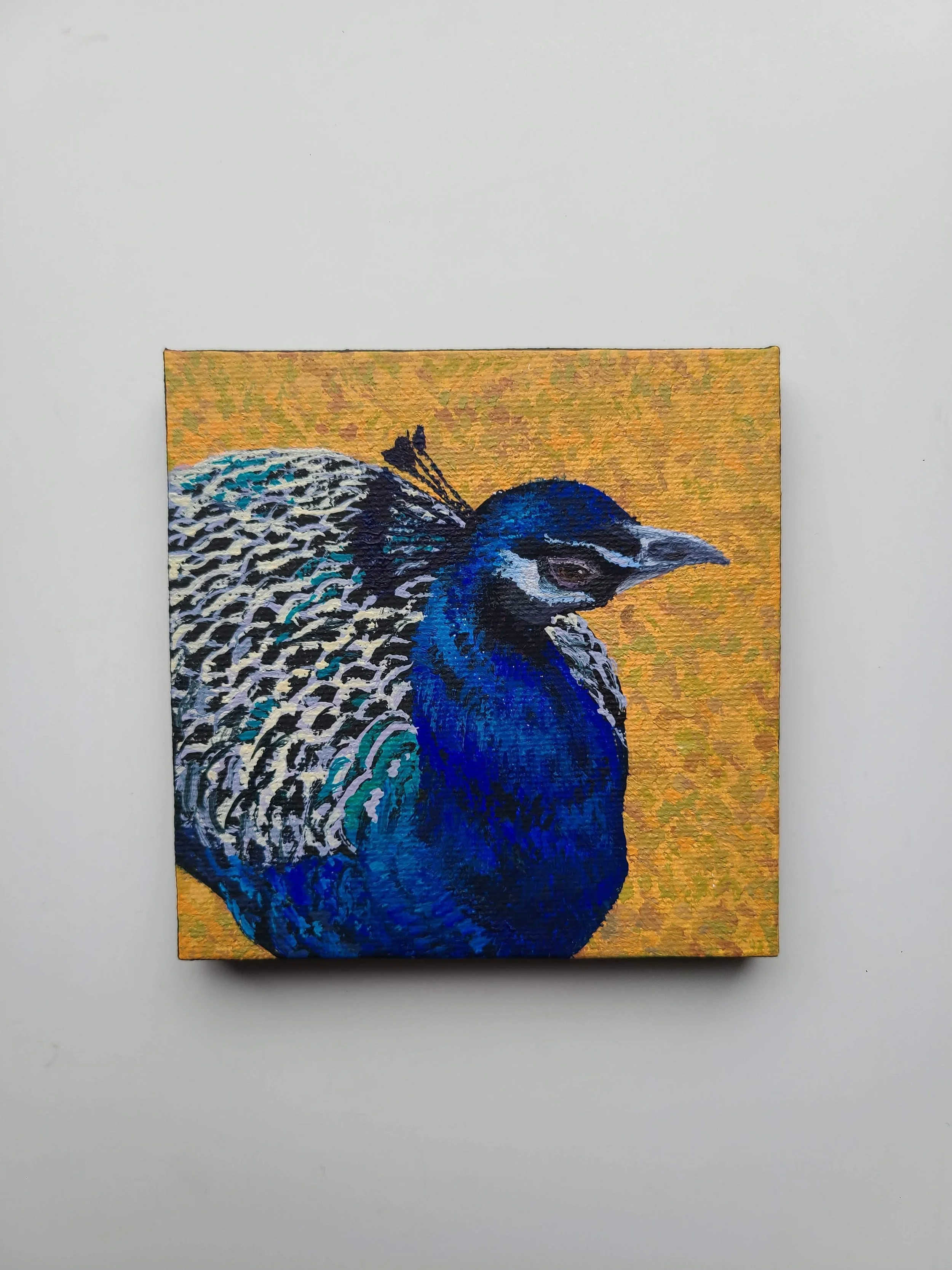 Peacock - acrylic on canvas - 4x4 in. 2025