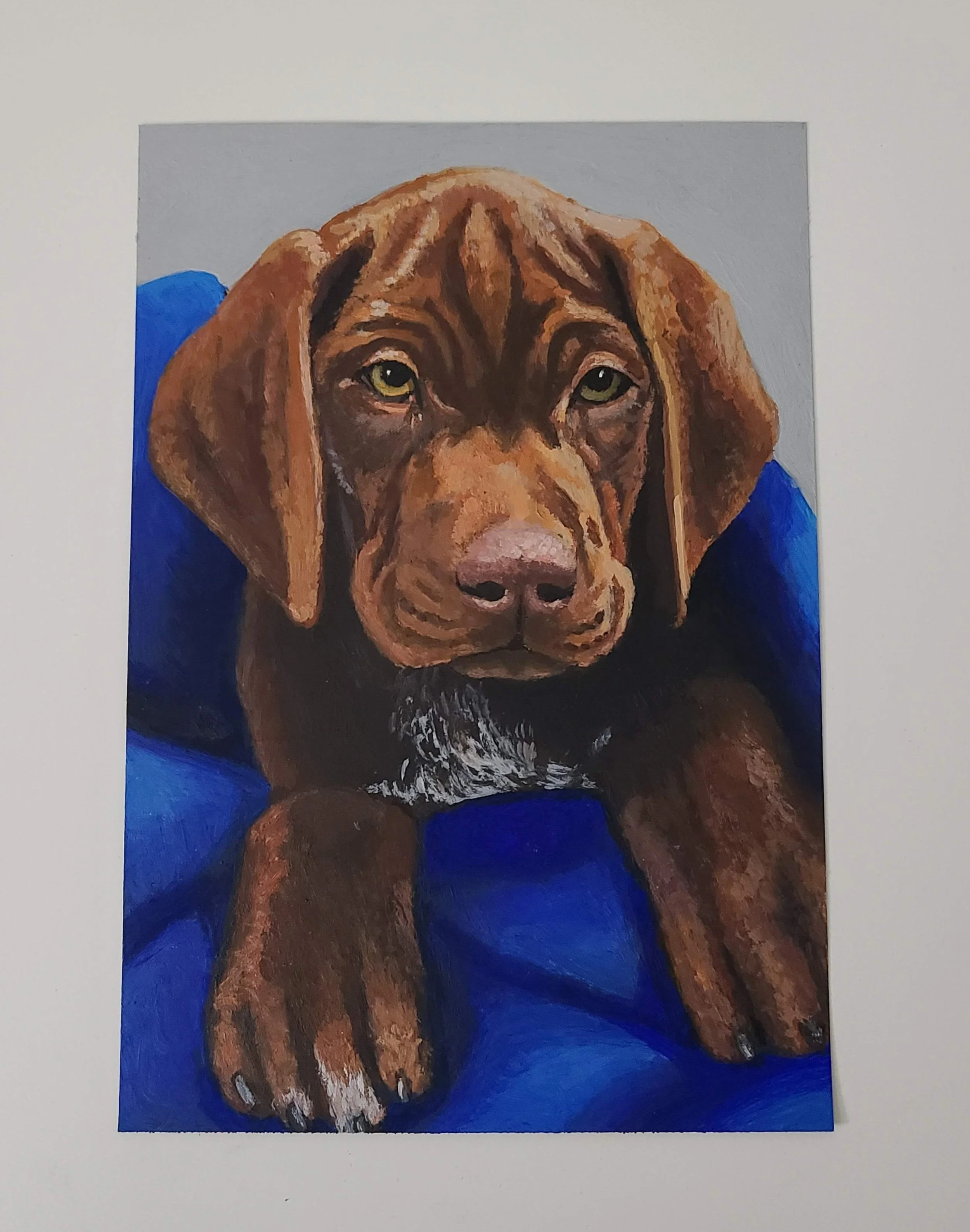 Puppy Portrait (Goose) - acrylic on paper - 4x6 in. 2025