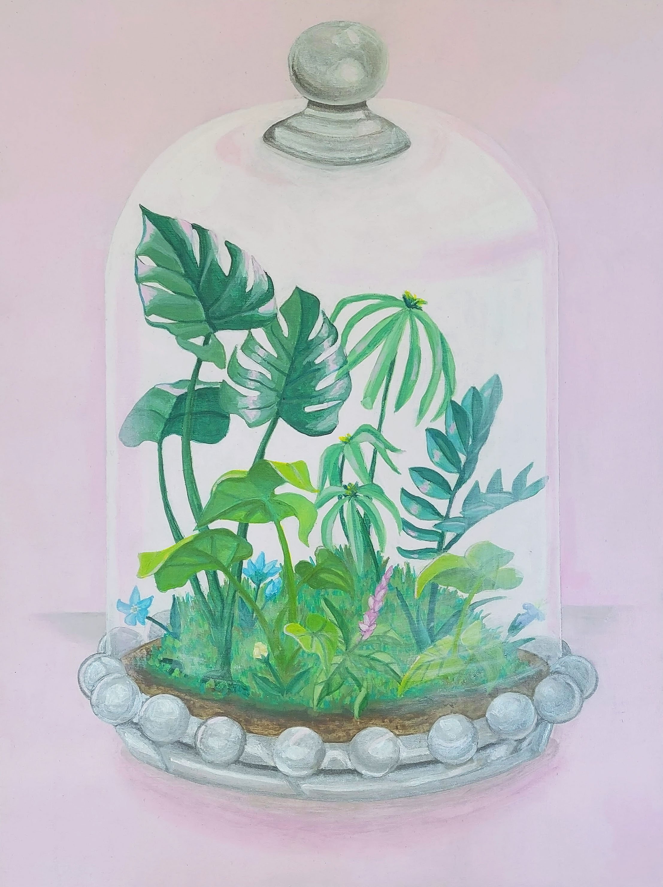 Terrarium - acrylic on panel - 12x16 in. 2019