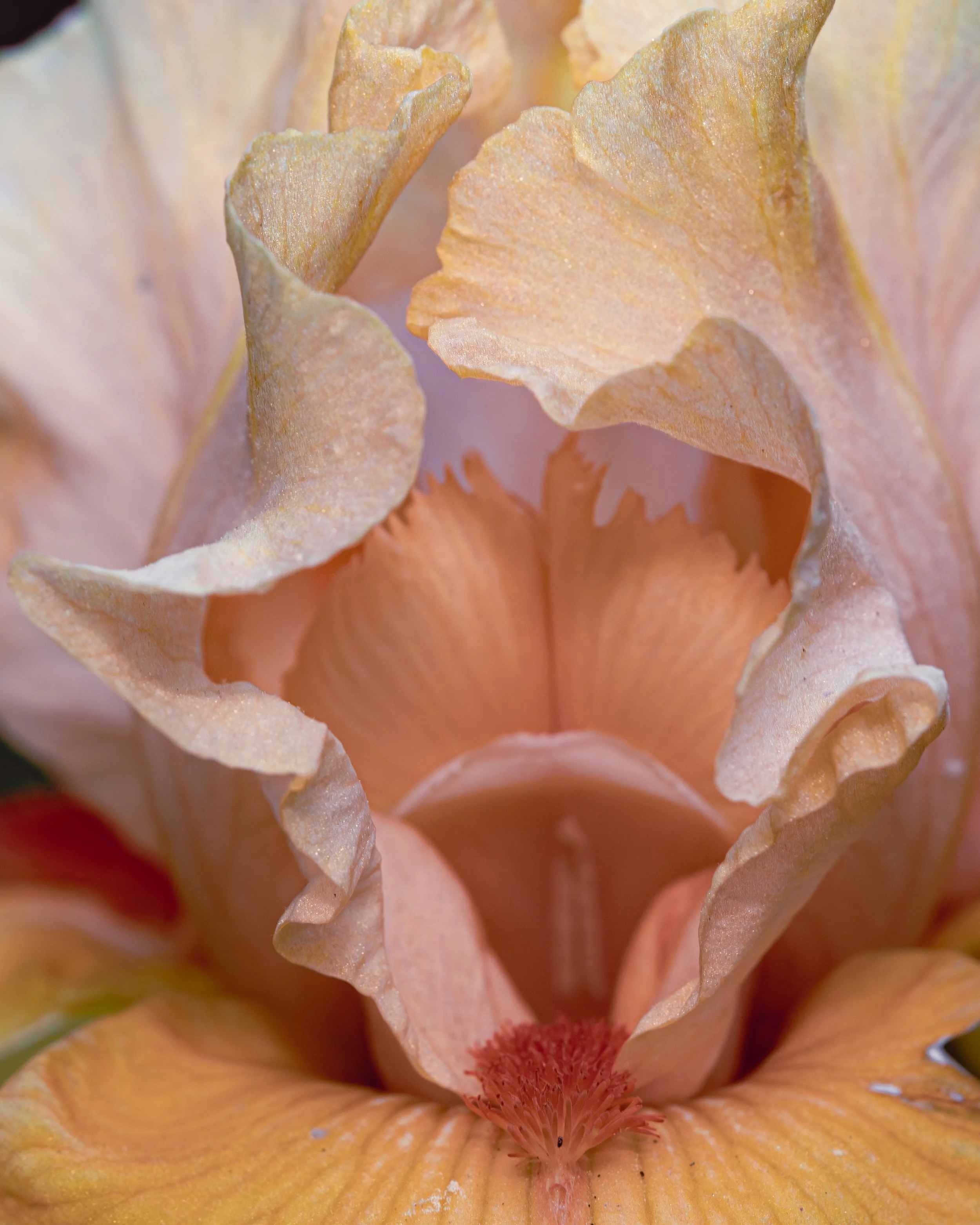 DSC_9503-2.JPG