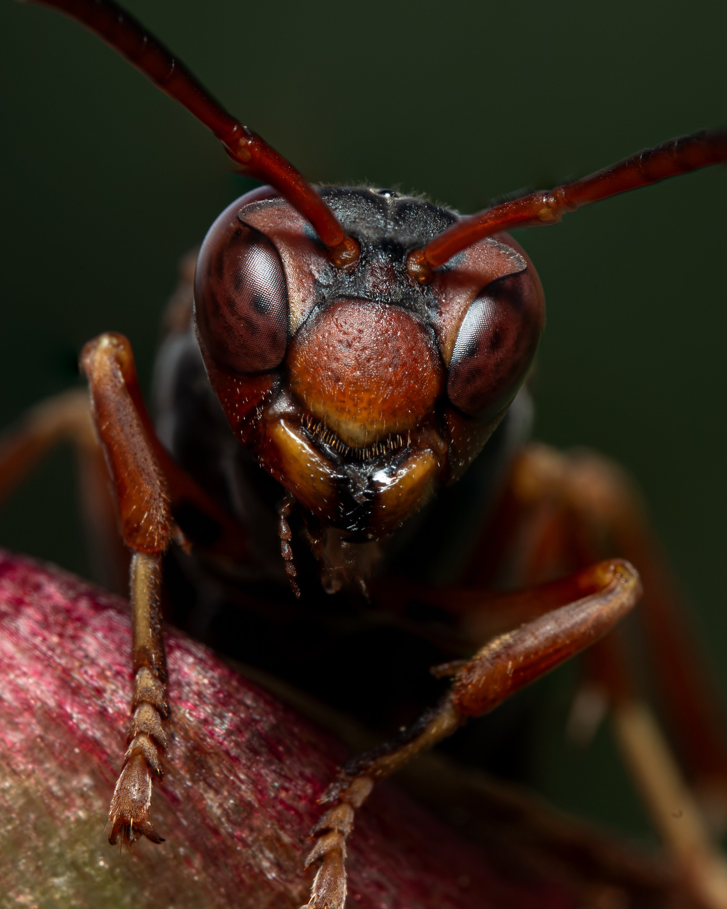 DSC_4623-2-Edit.JPG