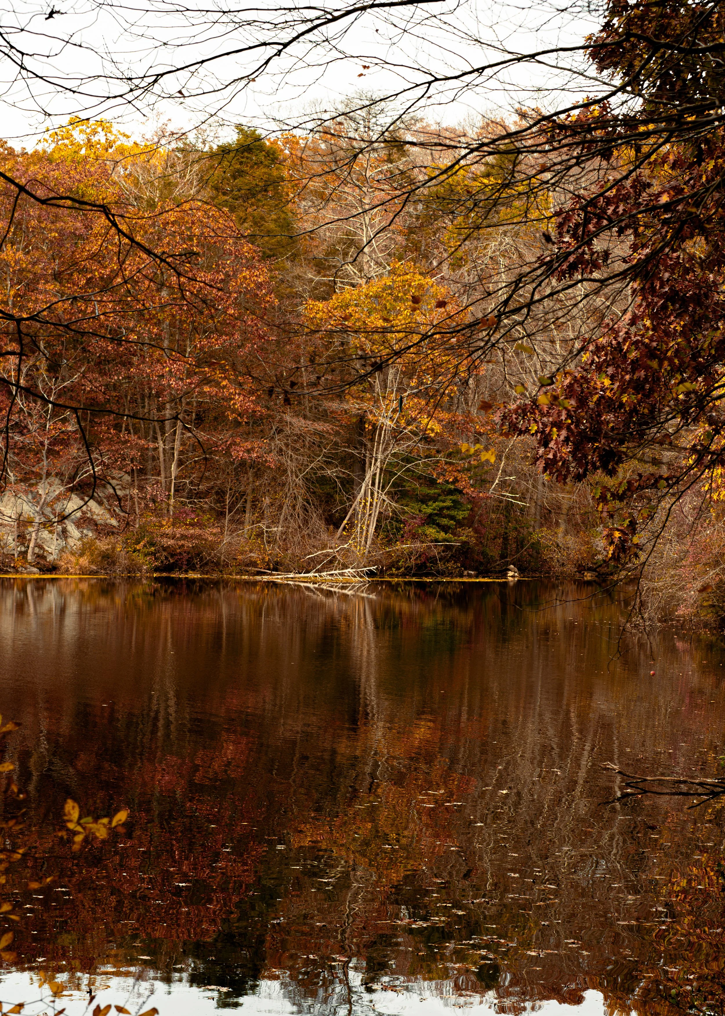 DSC_7467-2.JPG