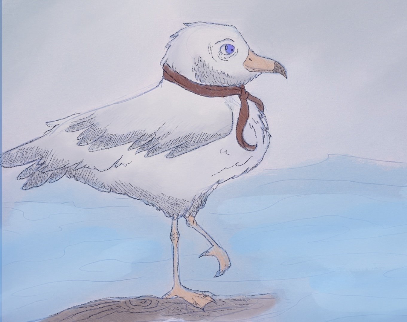 Karl the Seagull