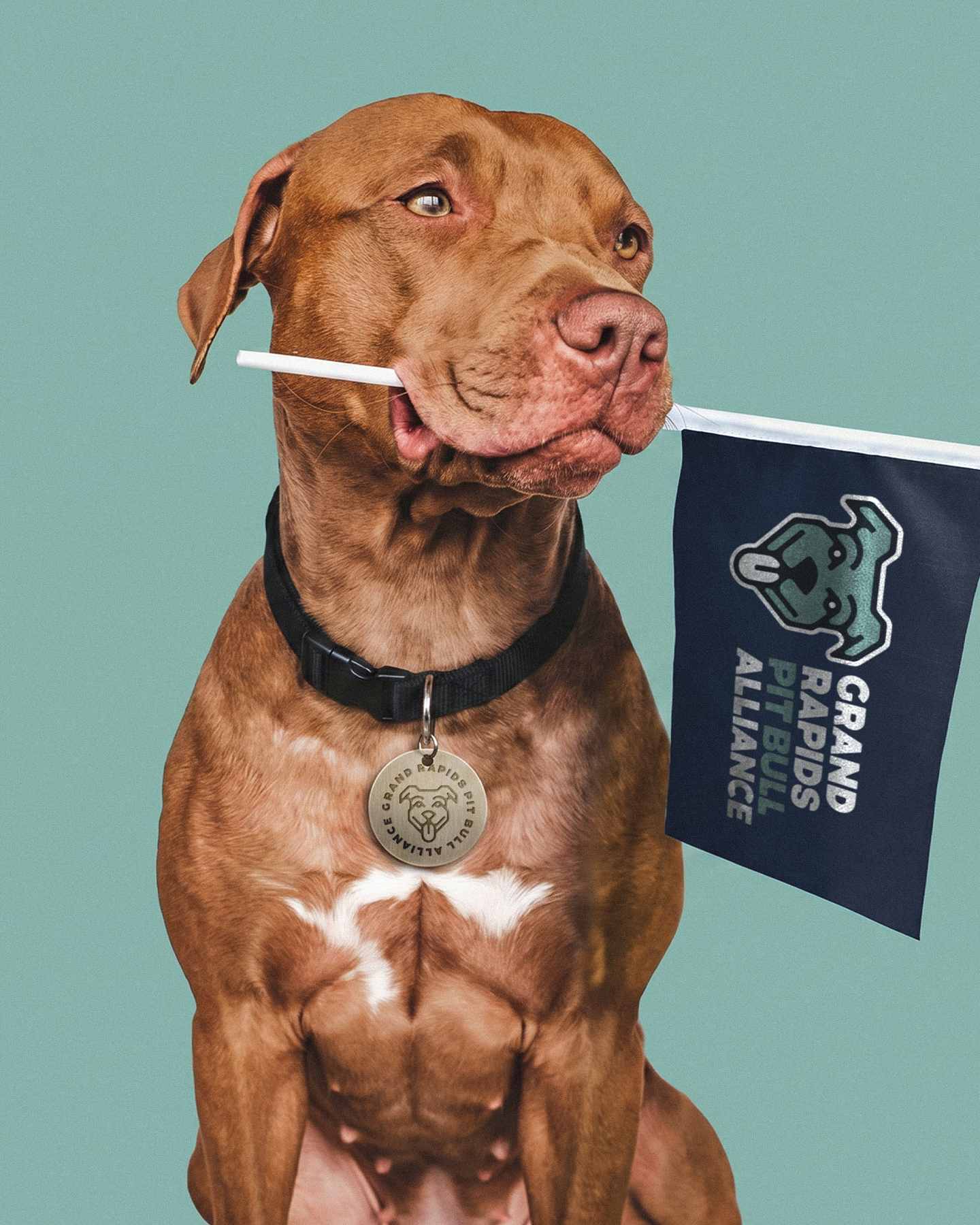 Grand Rapids<br> Pit Bull Alliance