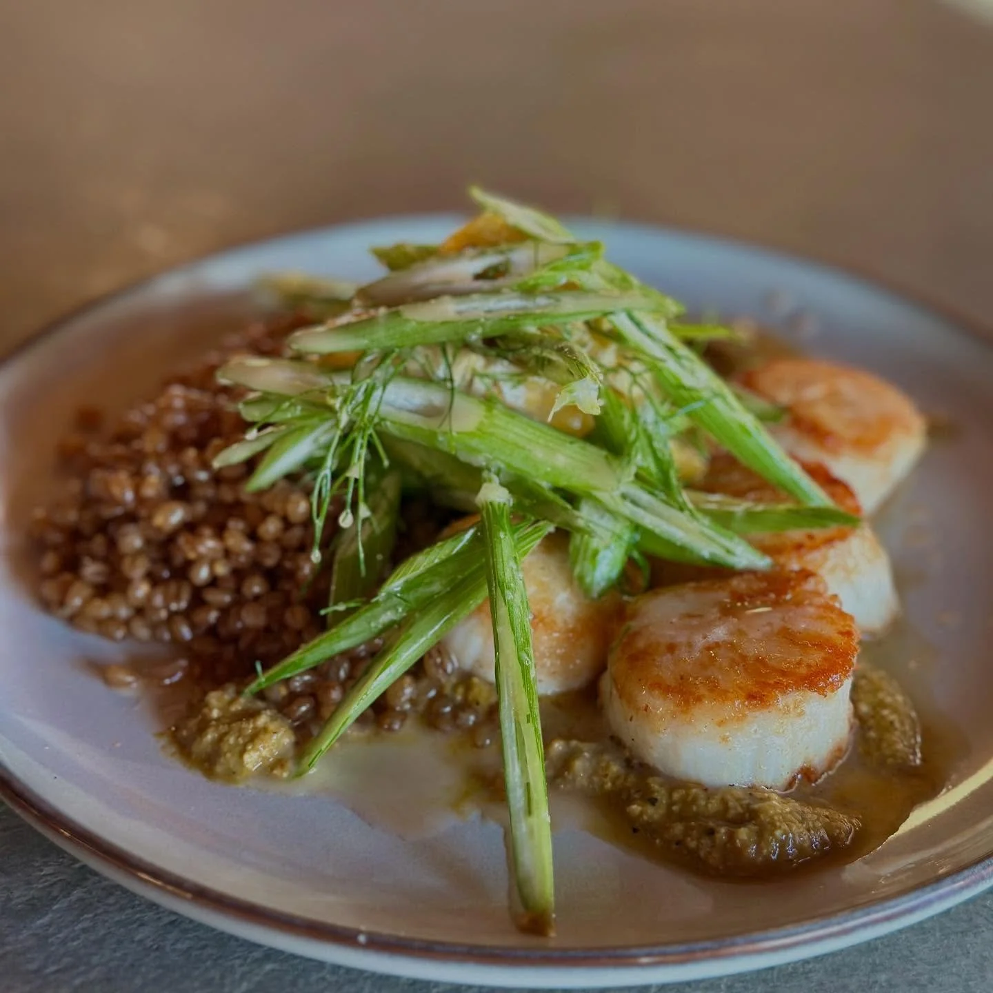 Specials | 11/6 🍁 

🥩 Steak Sandwich
 Thin-shaved sirloin with pickled red onion, roasted garlic &amp; herb aioli, and arugula on ciabatta. Choice of side.

🌊 Scallop Romesco
Seared scallops with wheat berries, green bell pepper romesco, and a fen