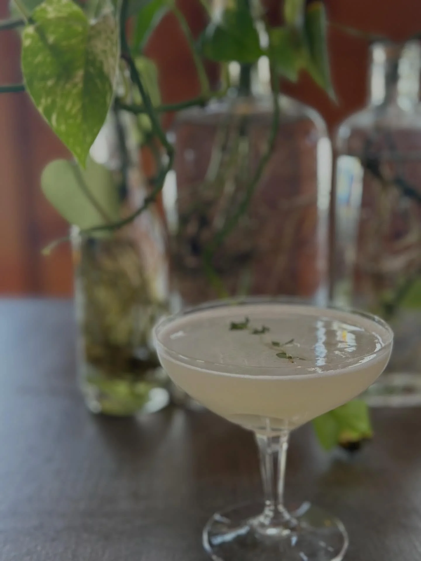 Weekend Cocktail Special: The Botanist&rsquo;s Kiss 😘 

Locally-distilled @murrma_distilling Mt. Tom gin + lemon + thyme = the perfect touch of Spring