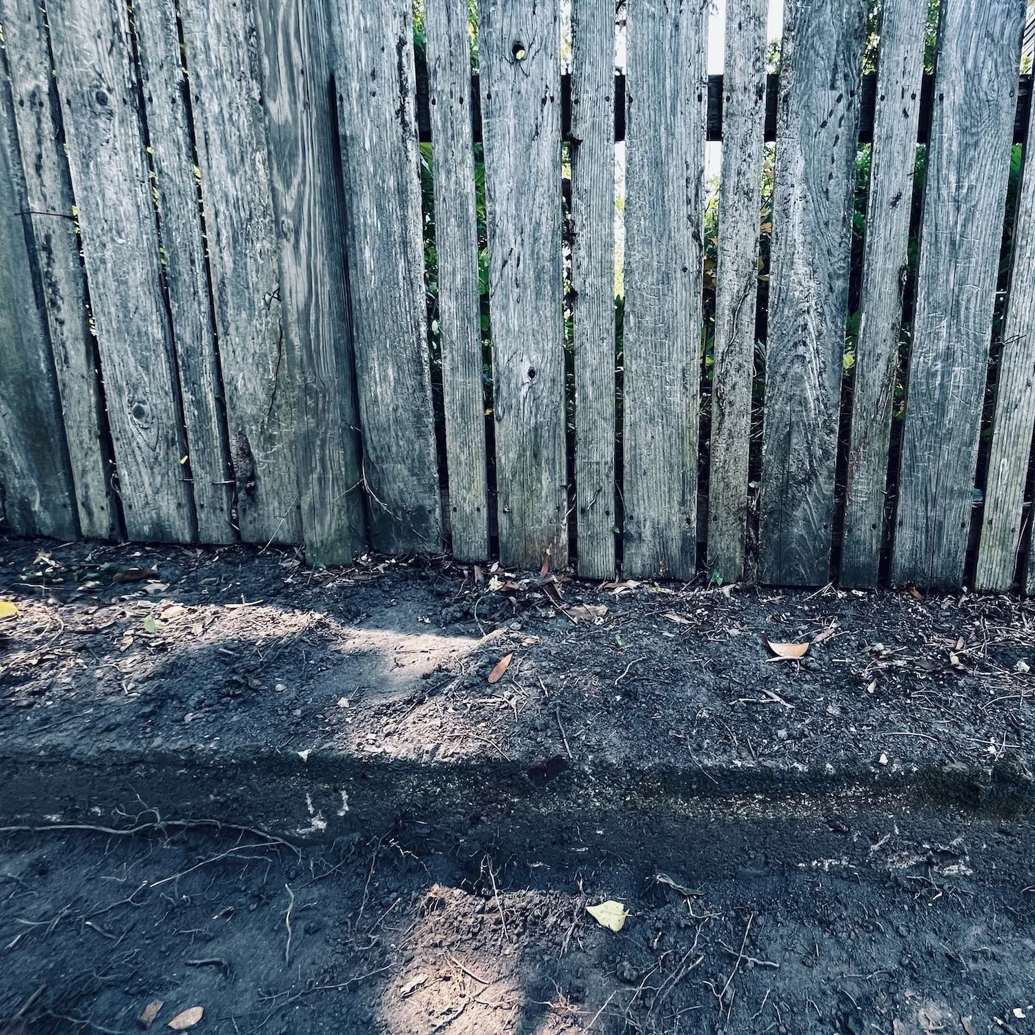 Unearthing the Wall